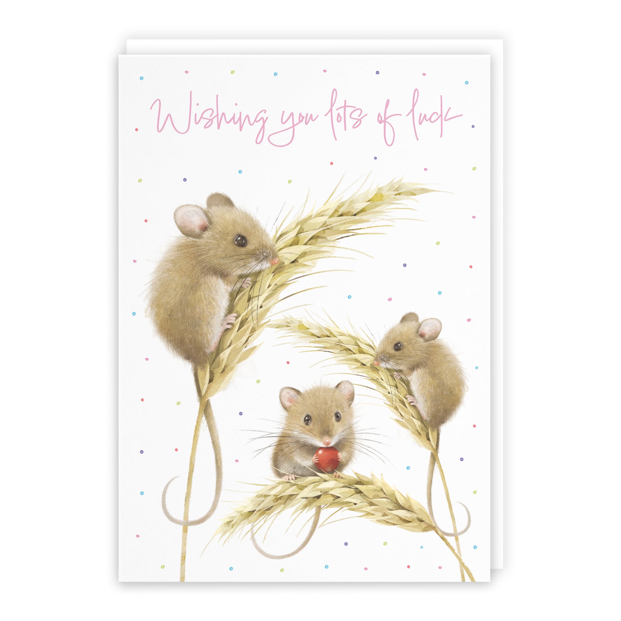 Harvest Mice Good Luck Card Milo's Gallery