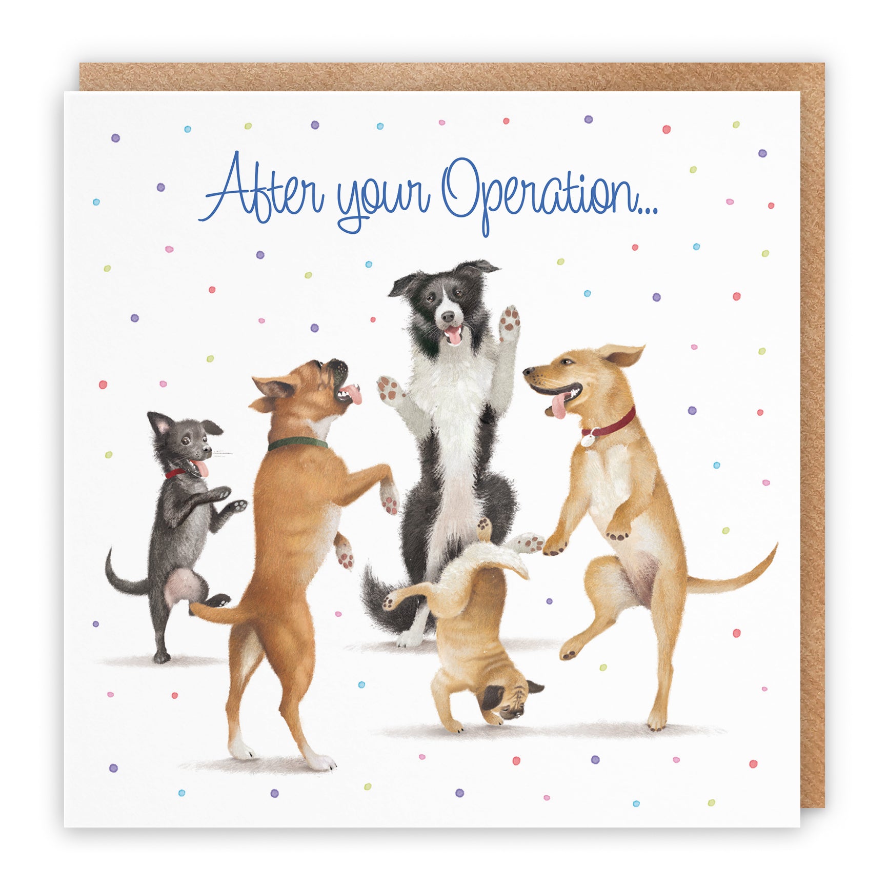 Dancing Dogs Get Well Card Milo's Gallery