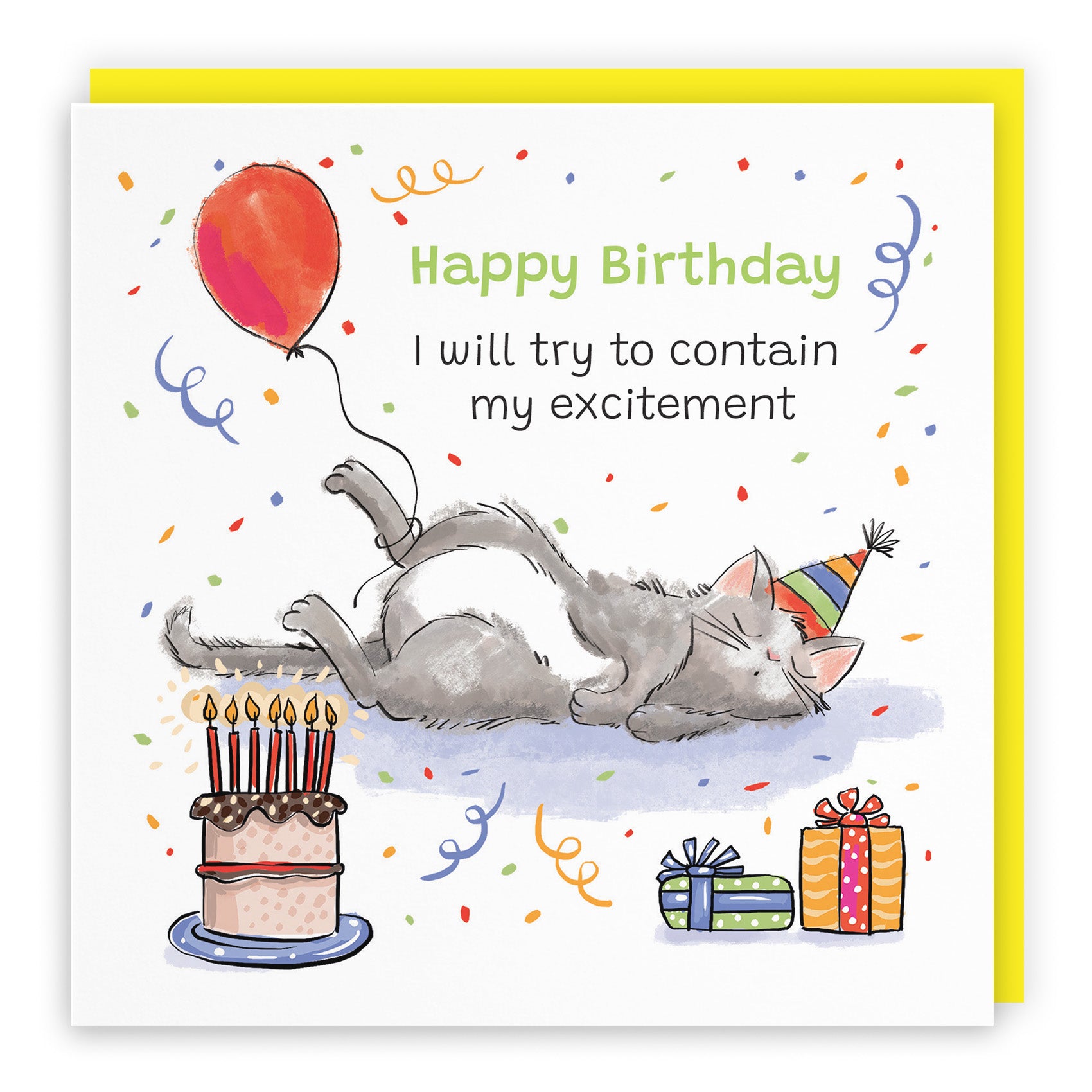 Sleepy Cat Birthday Card Animal Party
