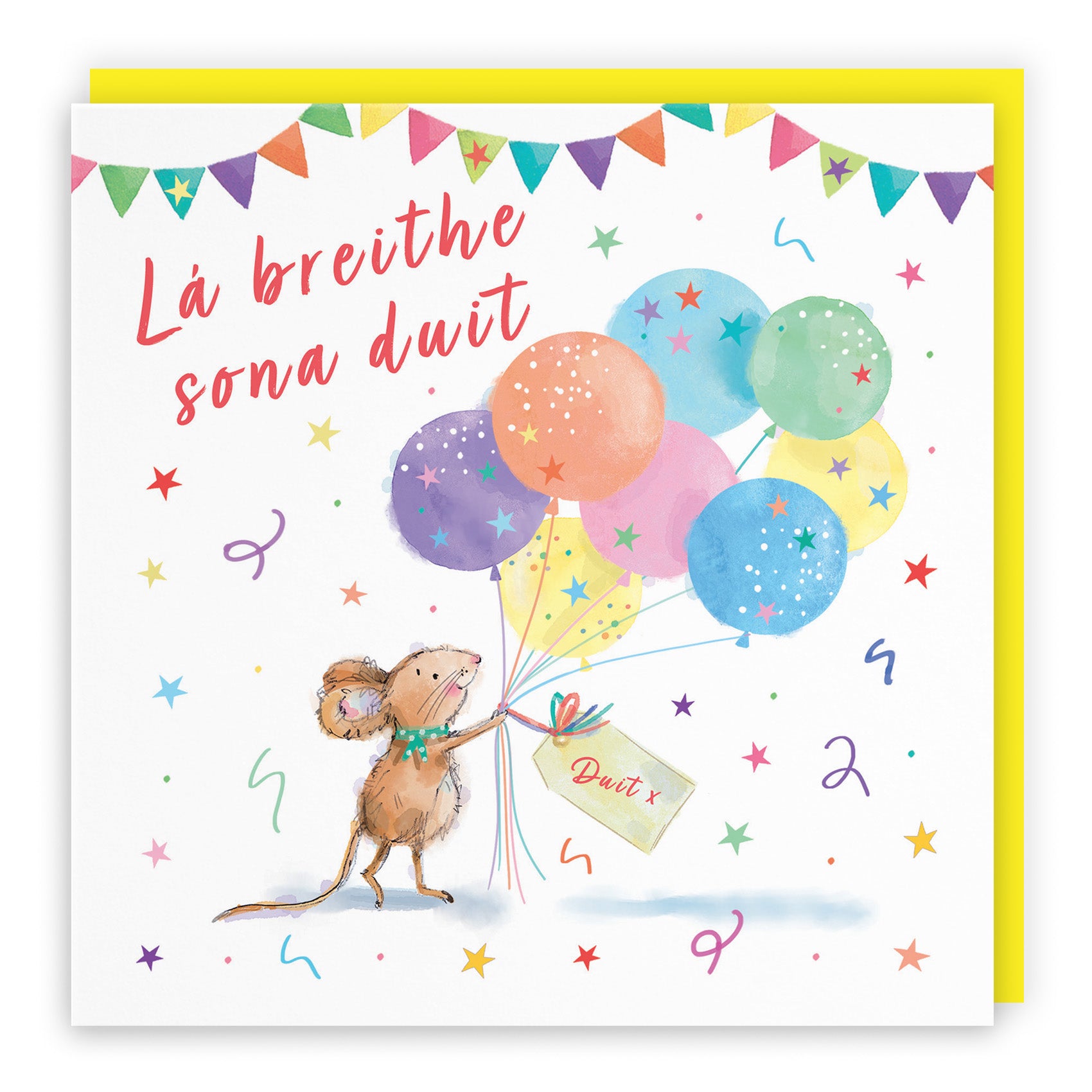 Colourful Balloons Birthday Card Little Whiskers