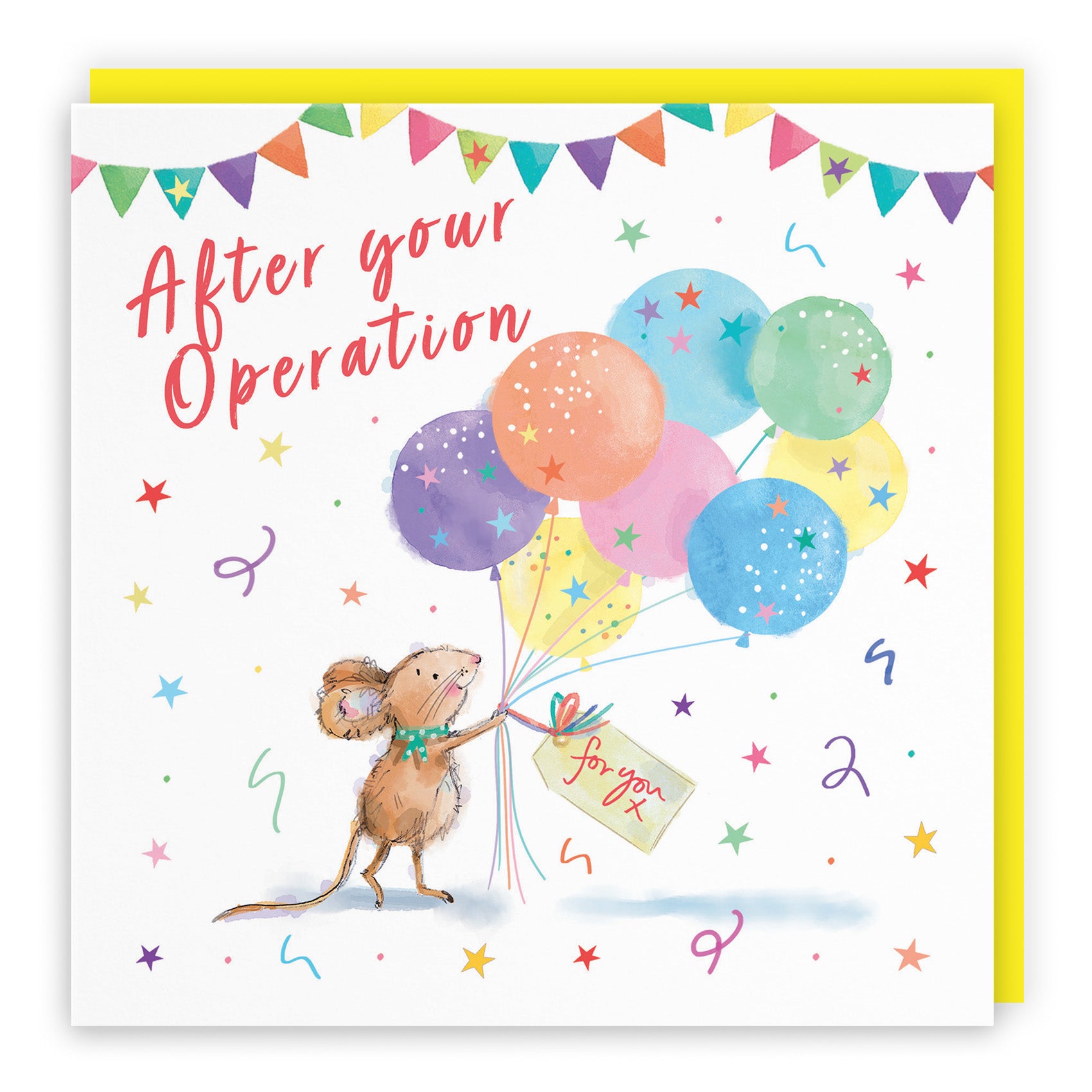 Colourful Balloons Get Well Card Little Whiskers