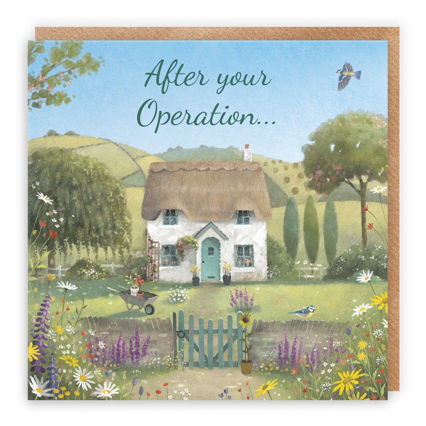 Thatched Cottage Get Well Card Milo's Gallery