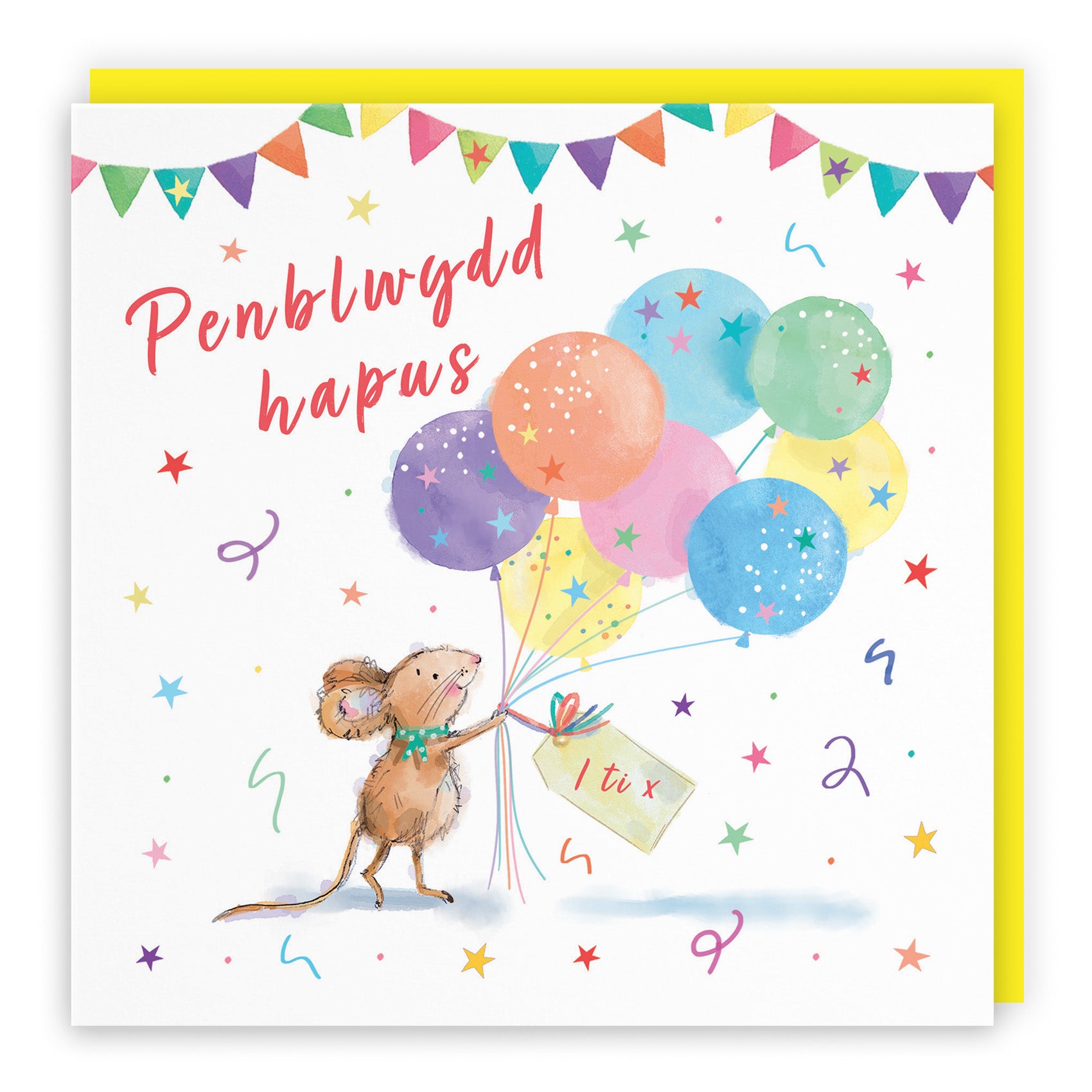 Colourful Balloons Birthday Card Little Whiskers