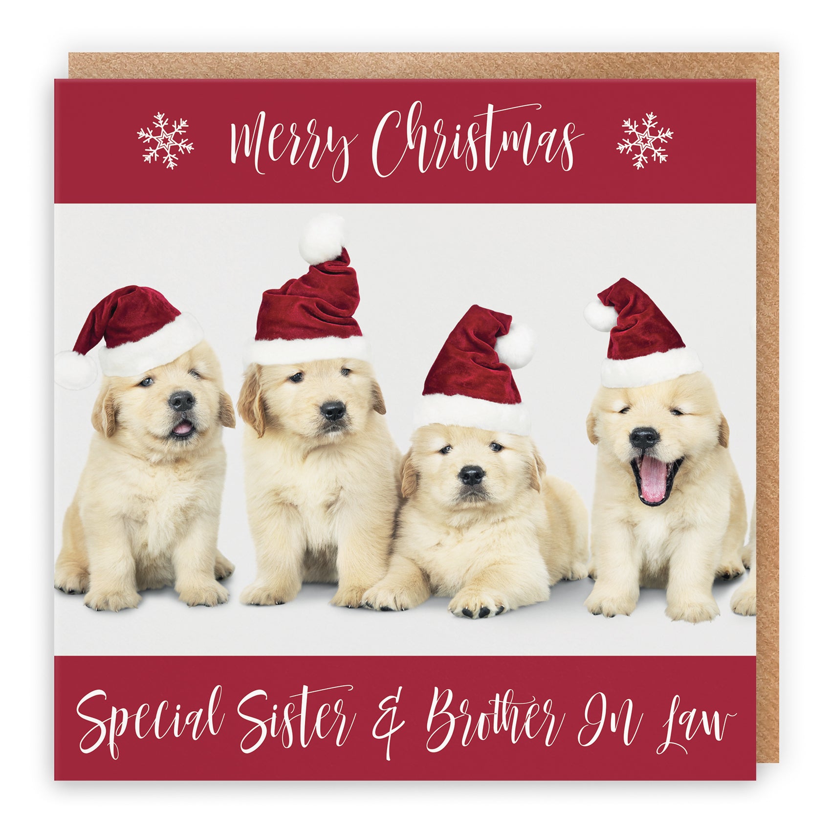 Christmas Card Puppy