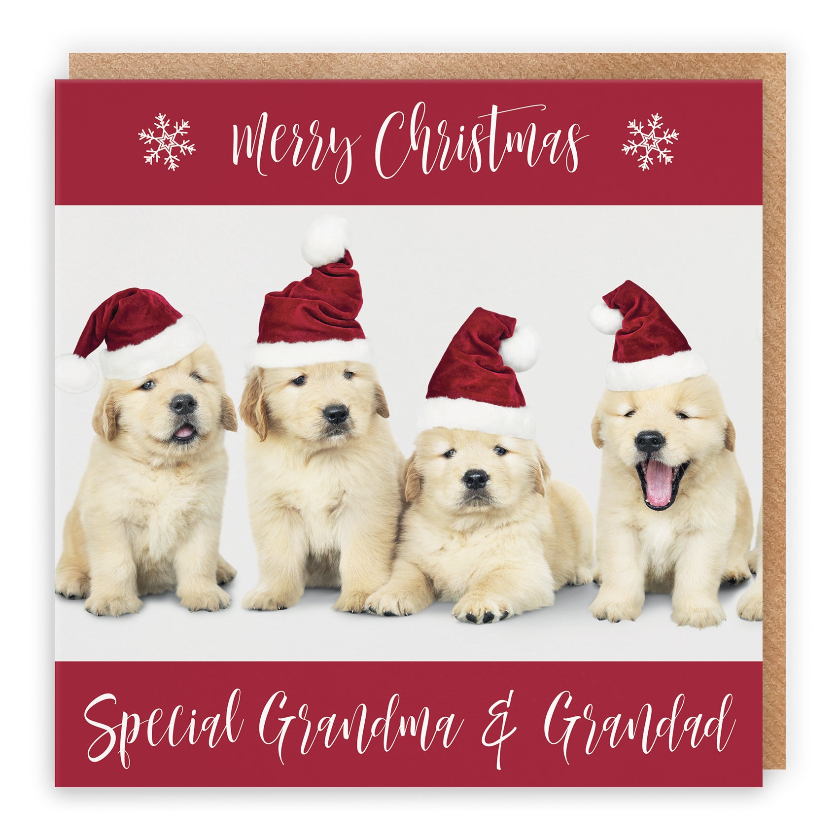 Christmas Card Puppy