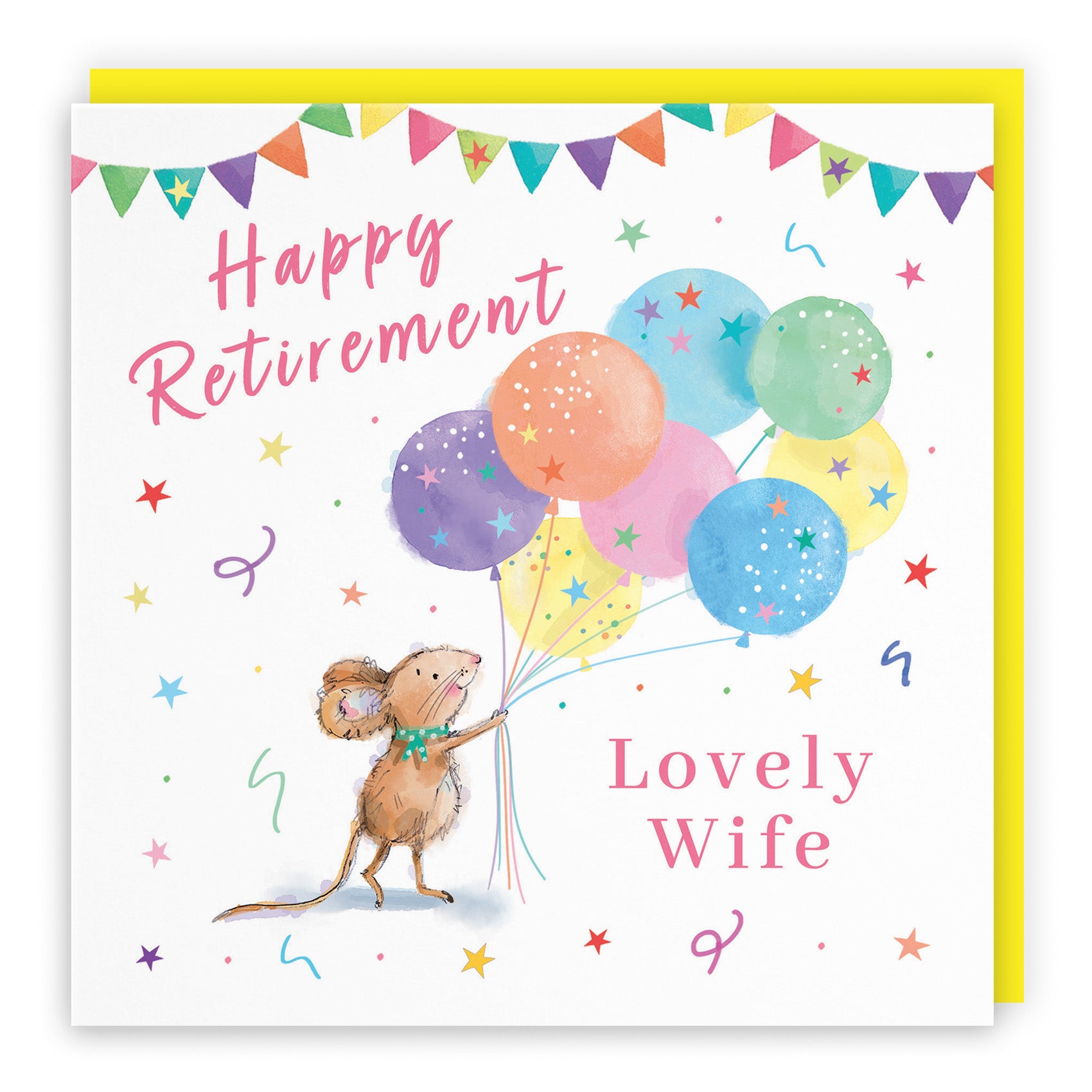 Colourful Balloons Retirement Card Little Whiskers