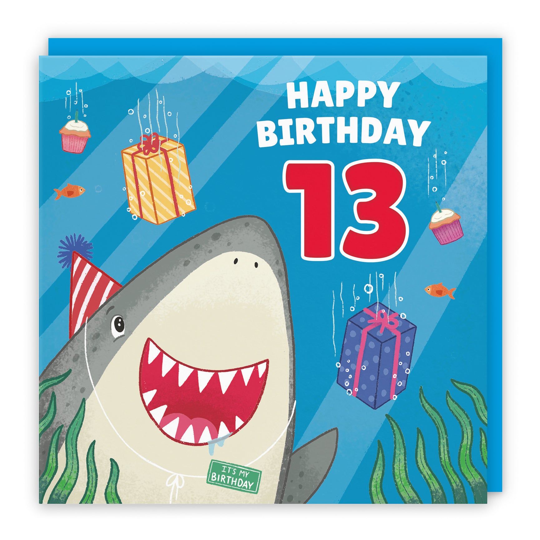 Cute Shark Birthday Card Ocean