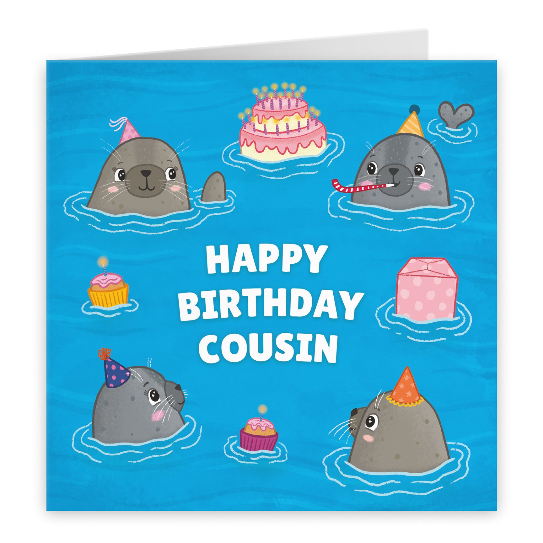 Cute Seals Birthday Card Ocean
