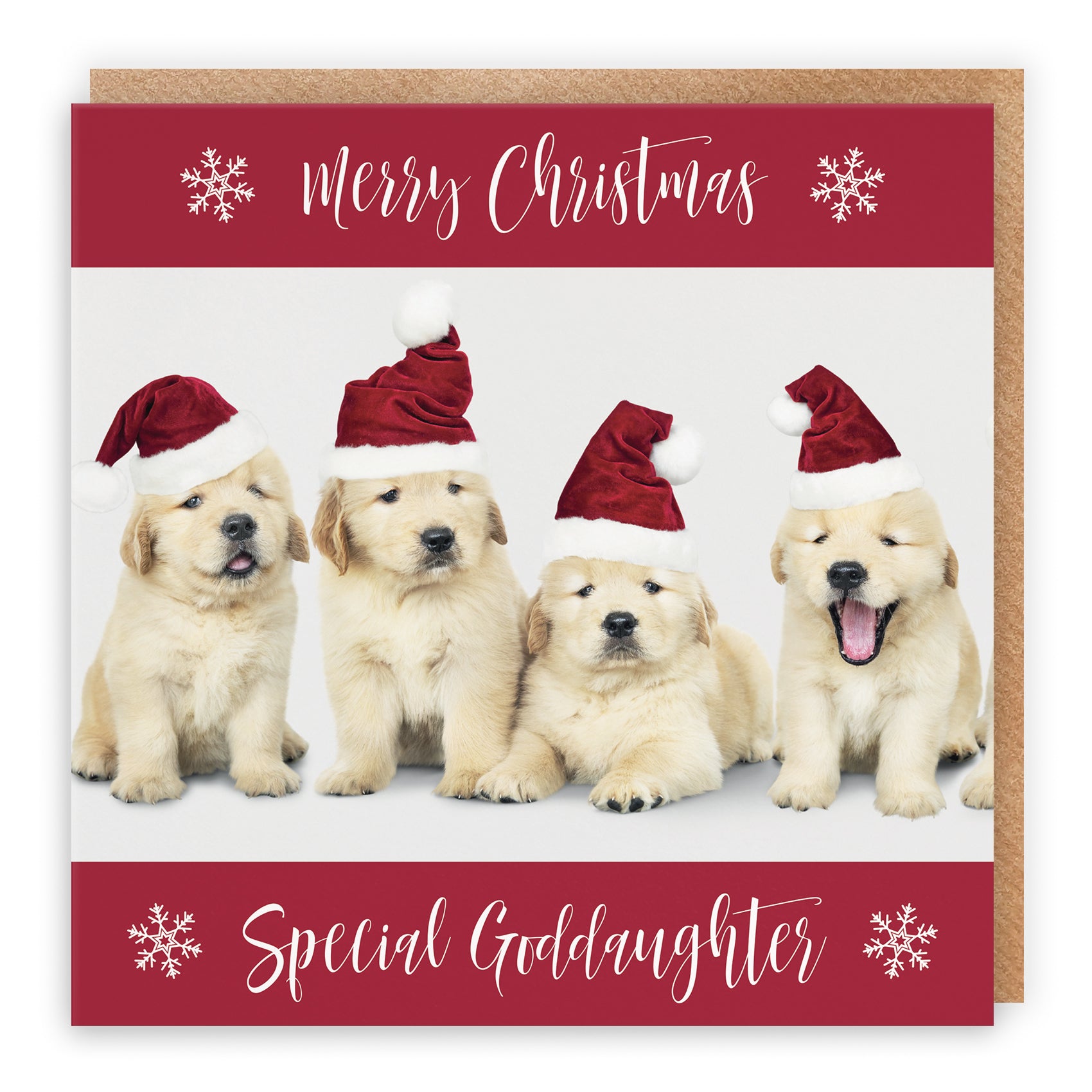 Christmas Card Puppy