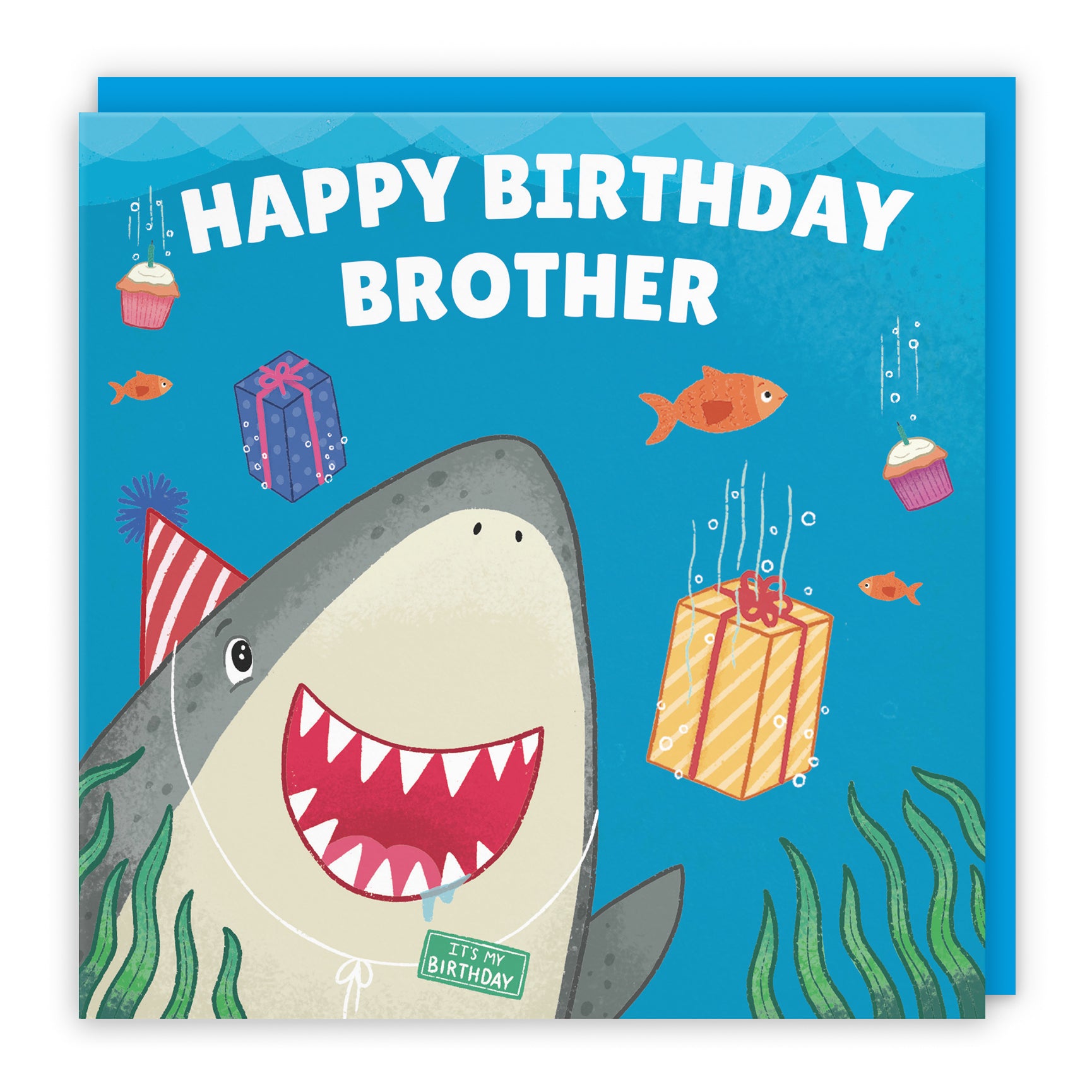 Cute Shark Birthday Card Ocean