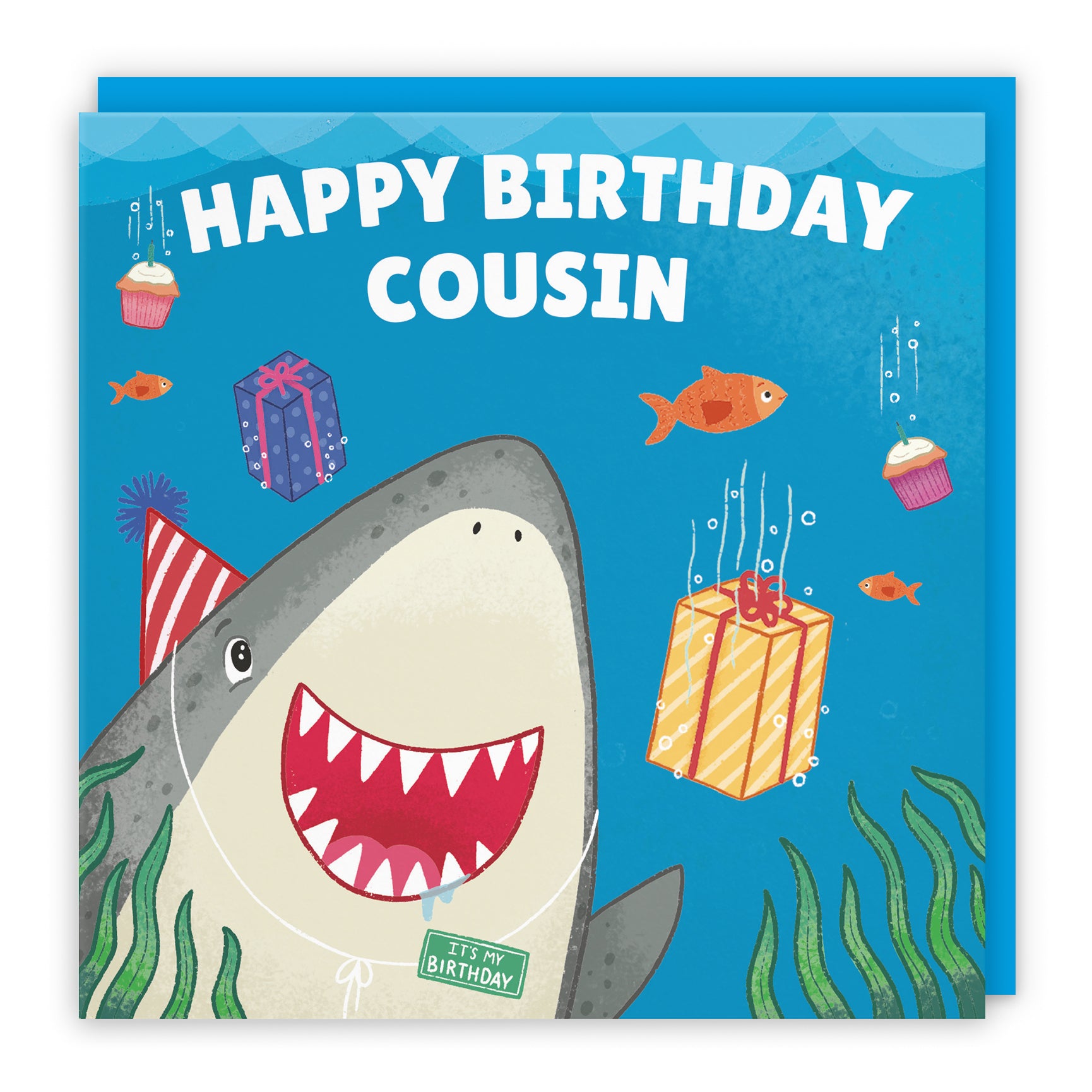 Cute Shark Birthday Card Ocean
