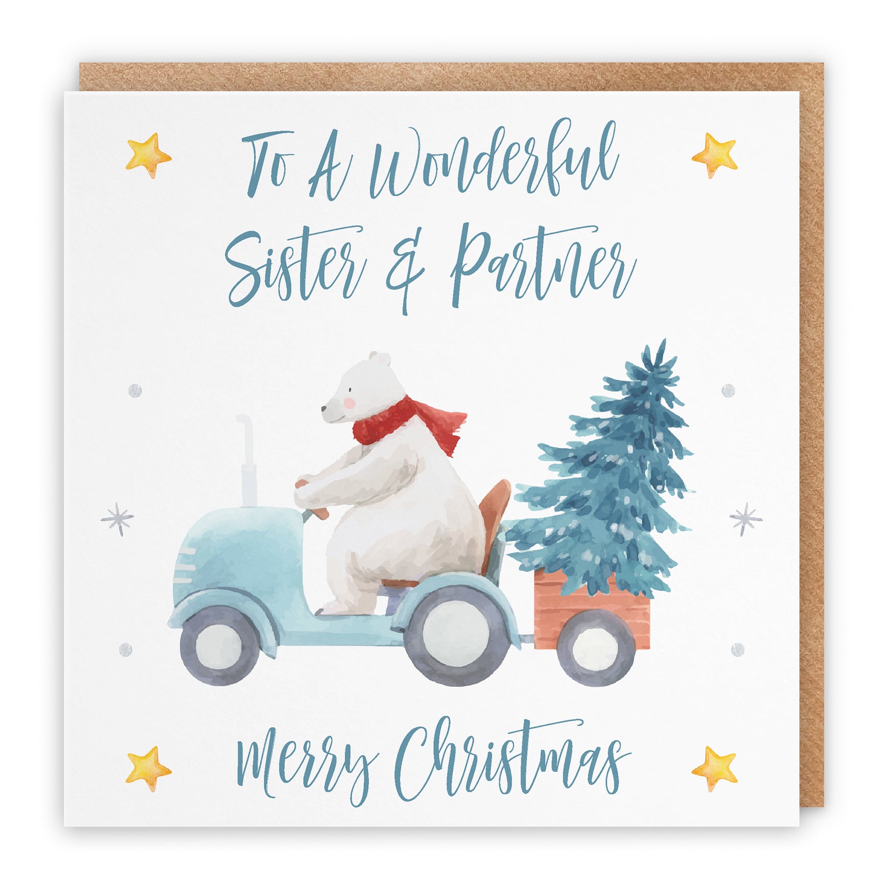 Christmas Card Polar Bear