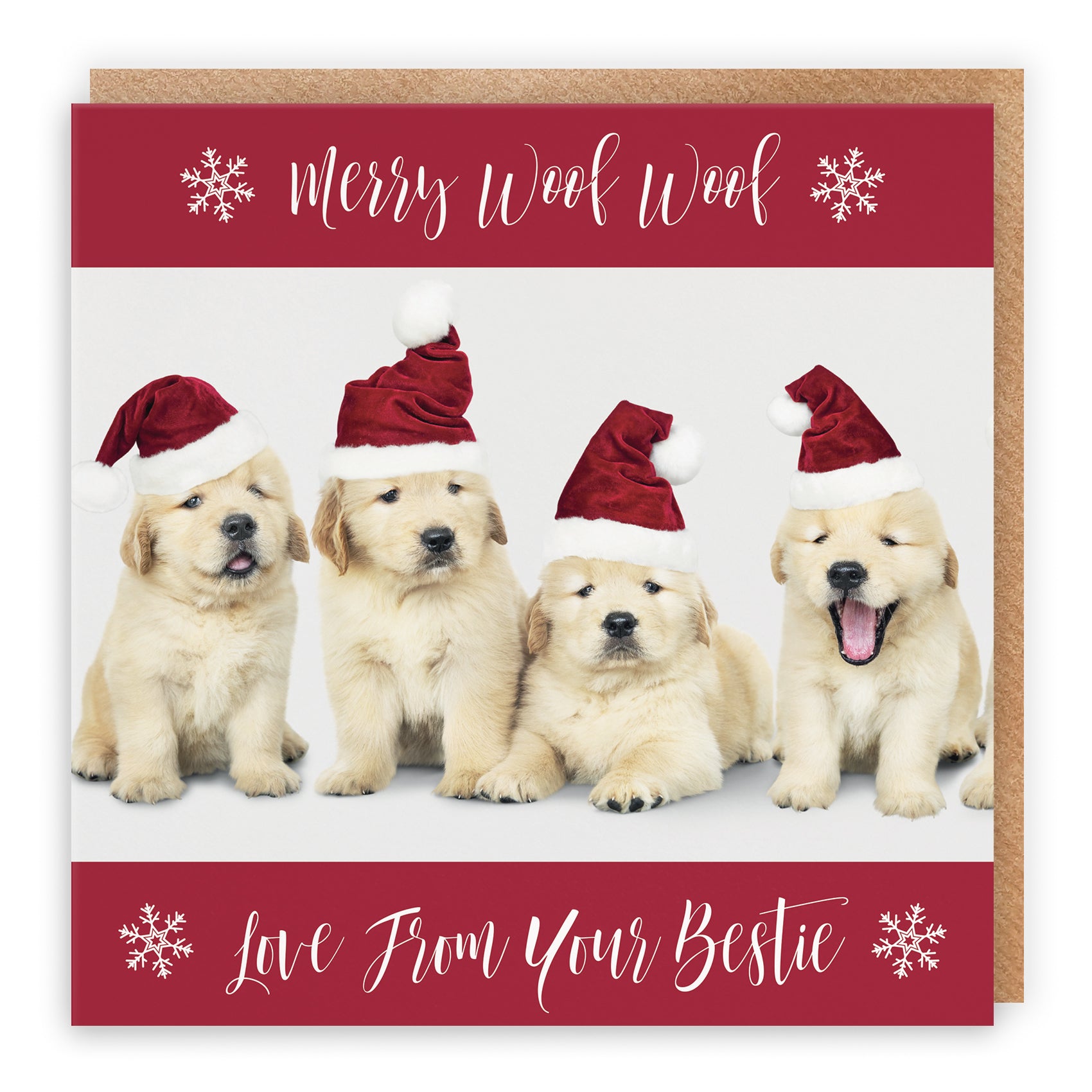 Christmas Card Puppy
