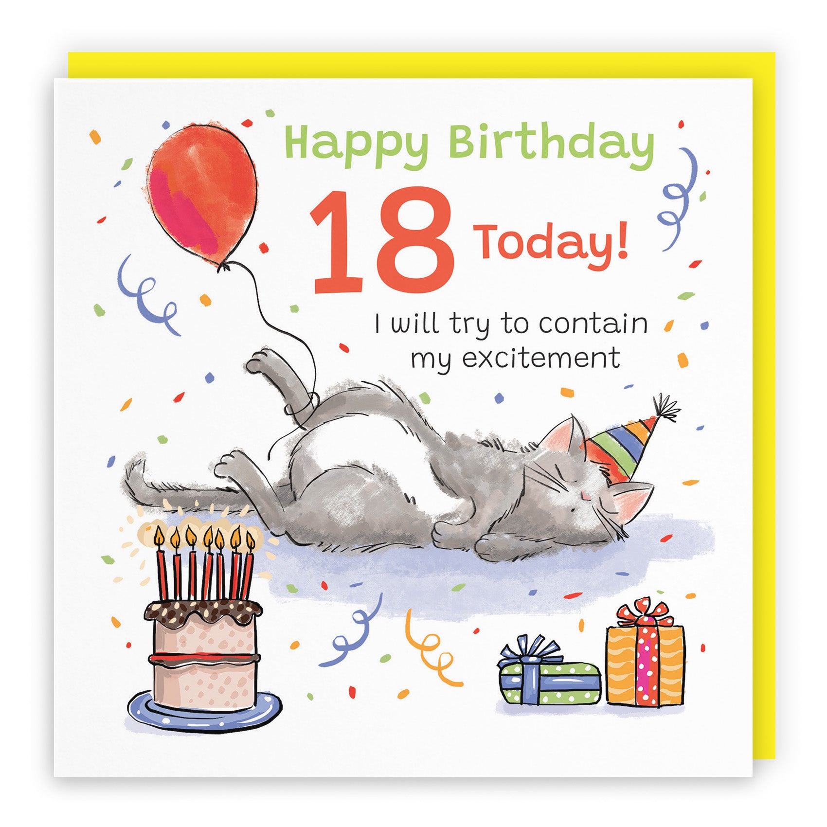 Sleepy Cat Birthday Card Animal Party