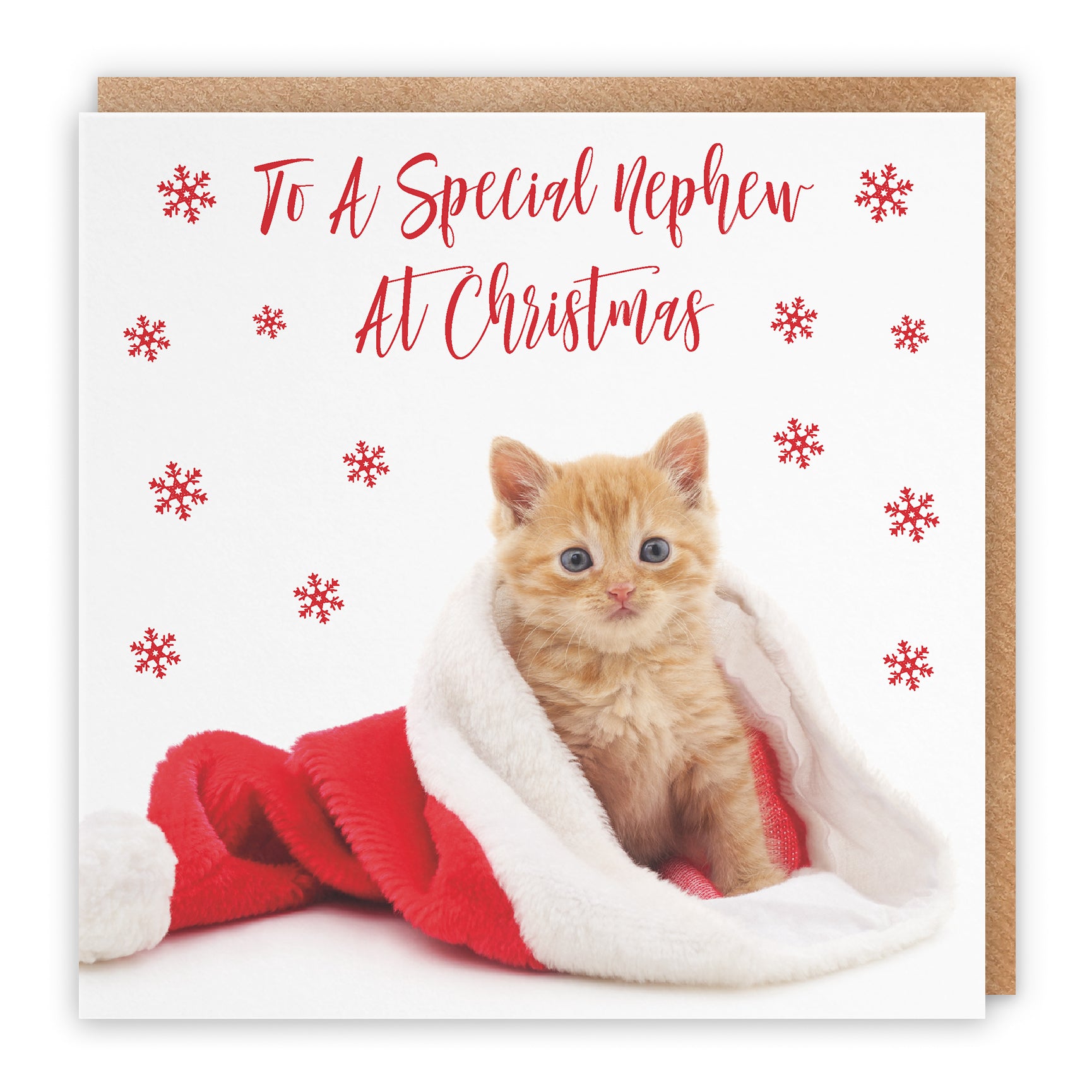 Christmas Card Kitten