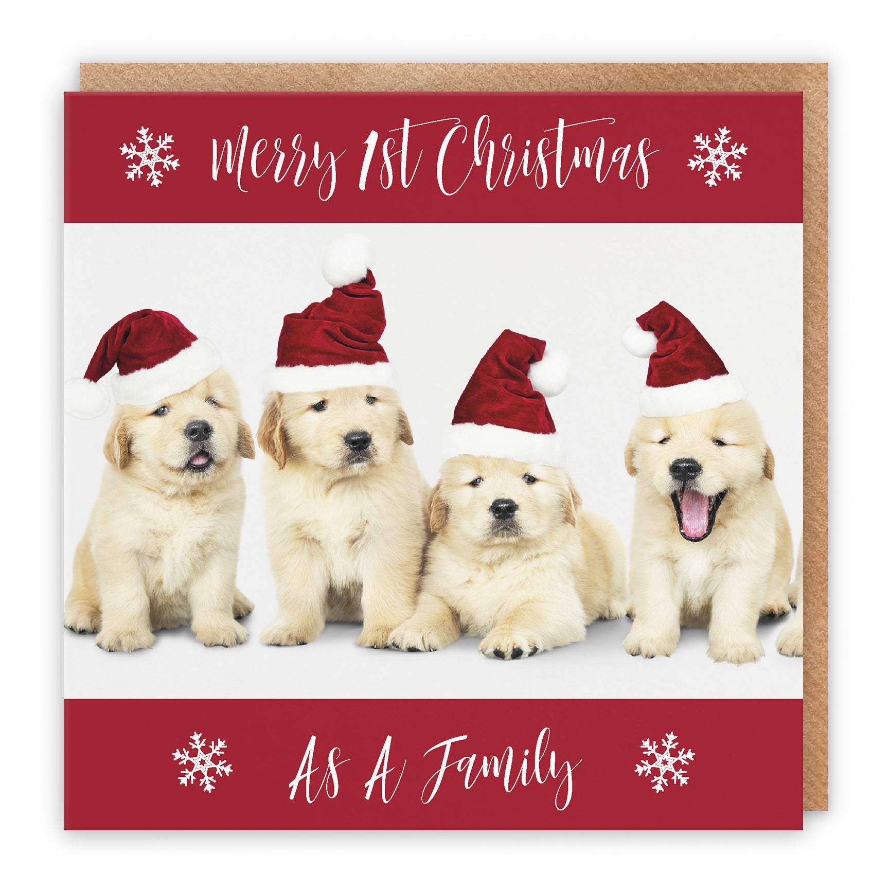 Christmas Card Puppy