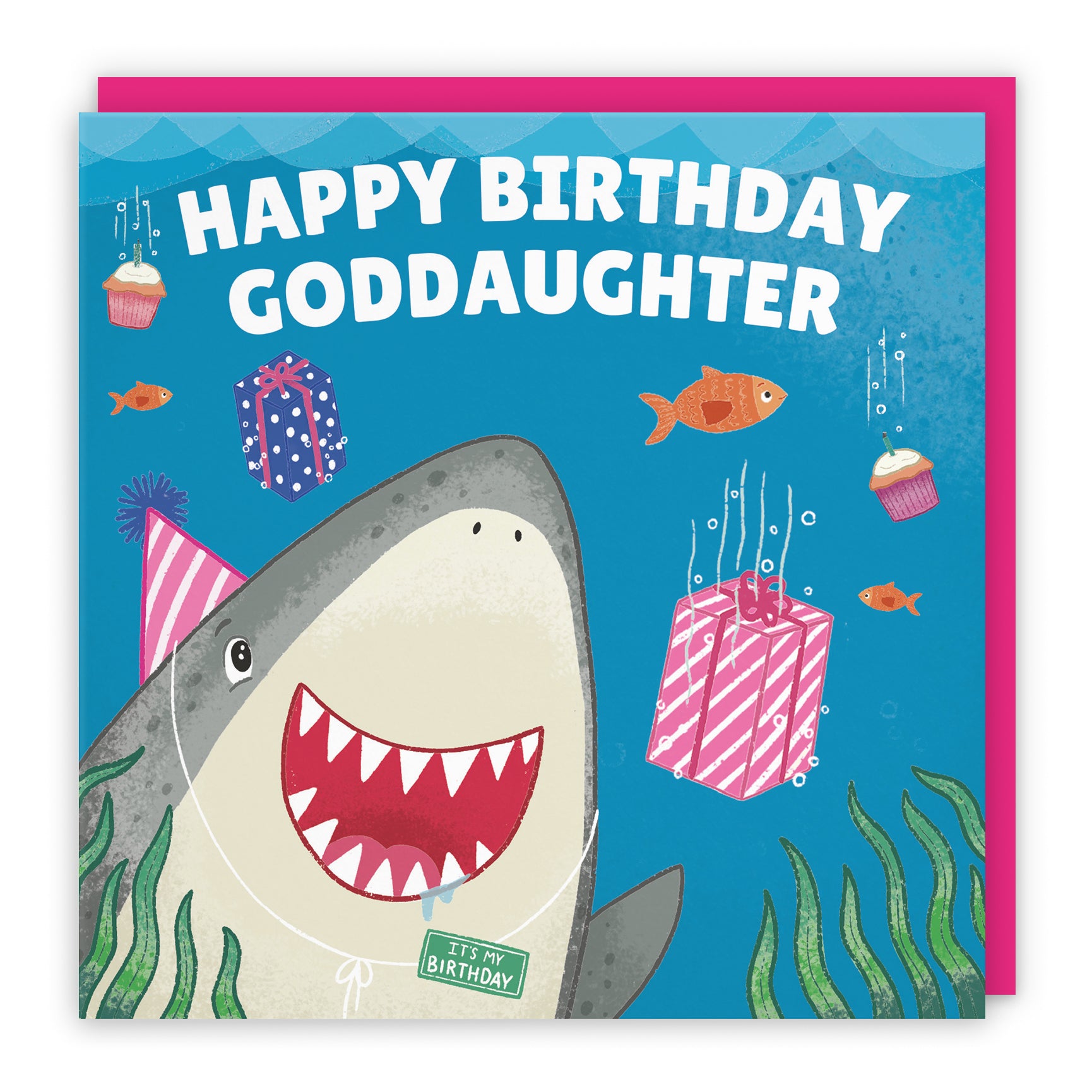Cute Shark Birthday Card Ocean