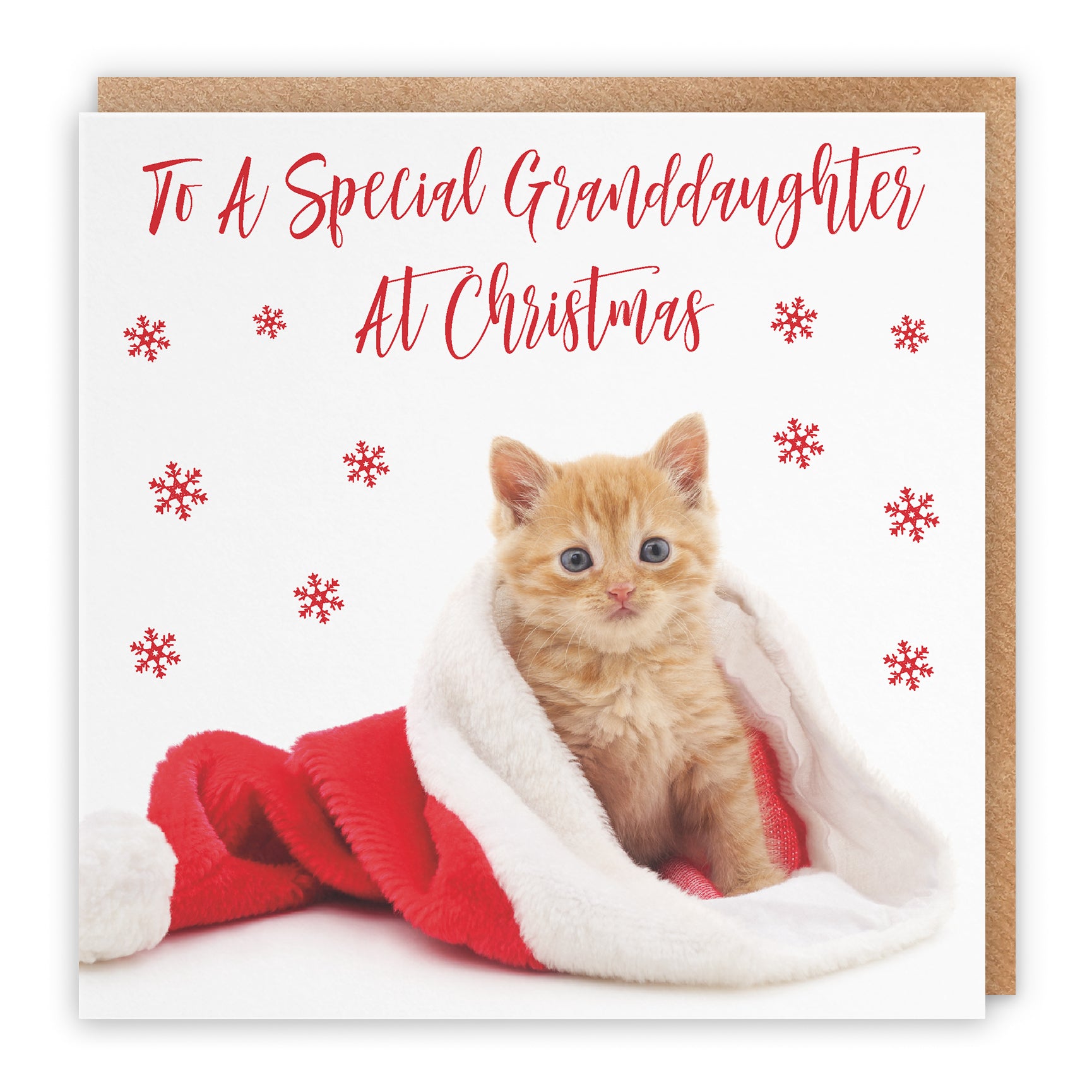Christmas Card Kitten