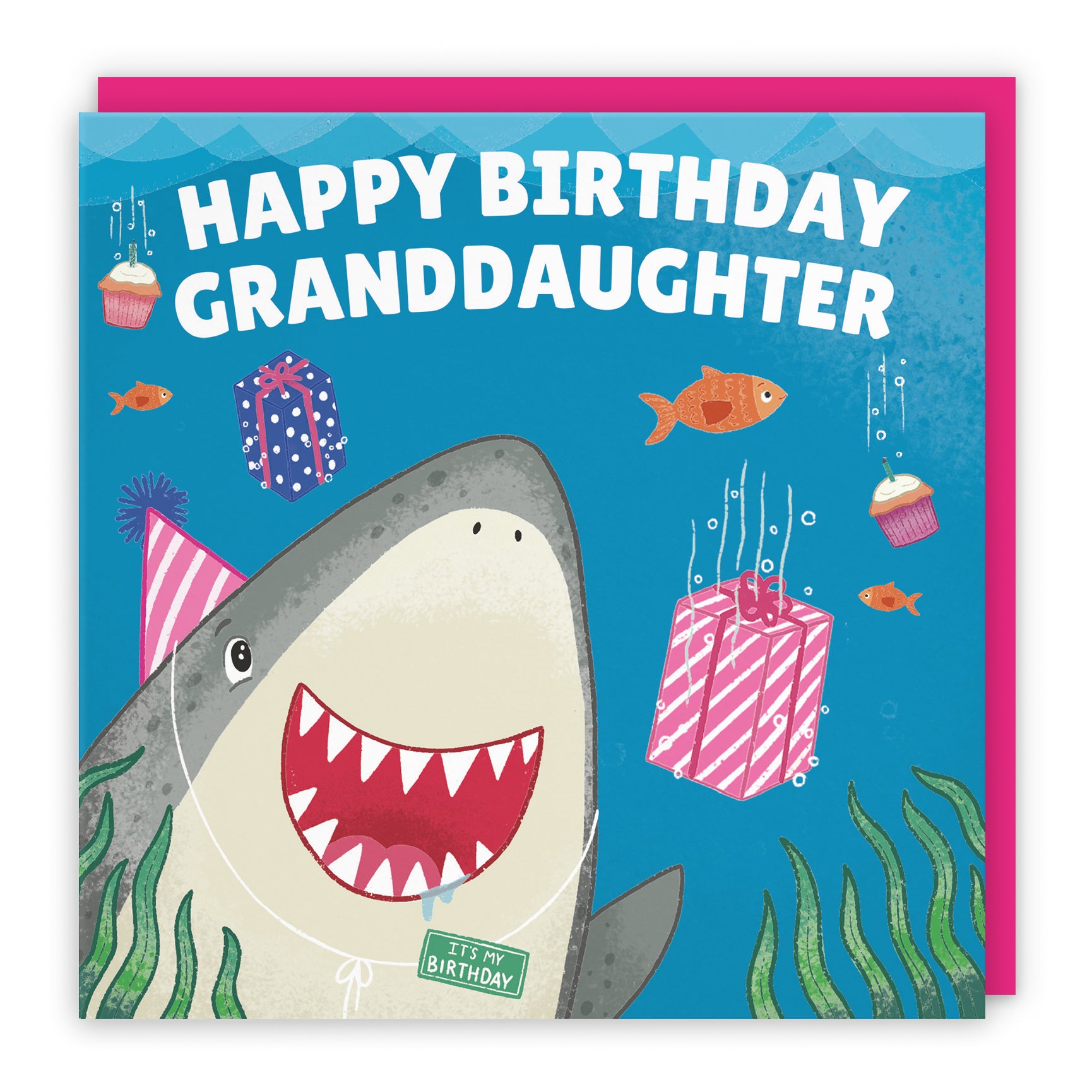 Cute Shark Birthday Card Ocean