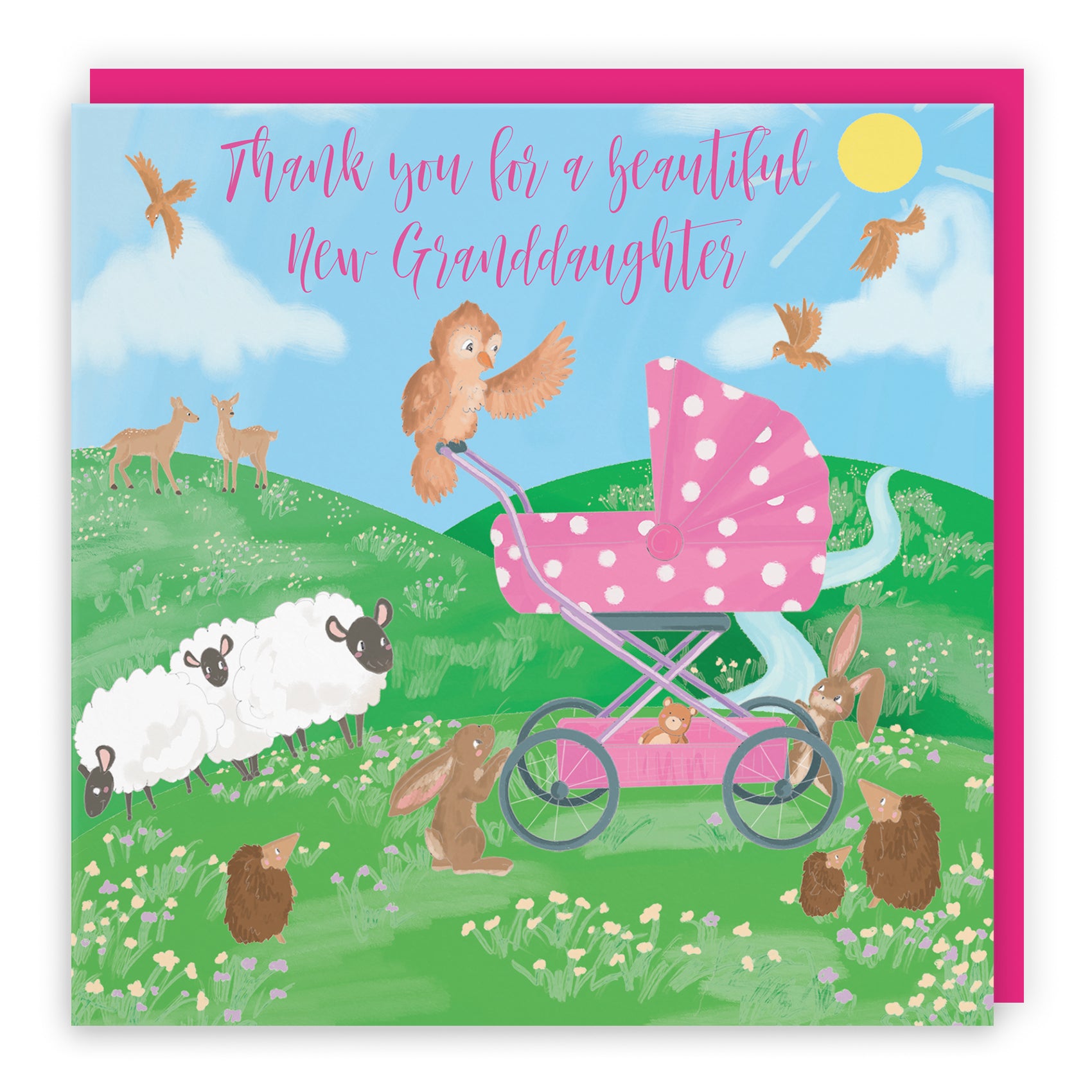 New Baby Card Pram Countryside