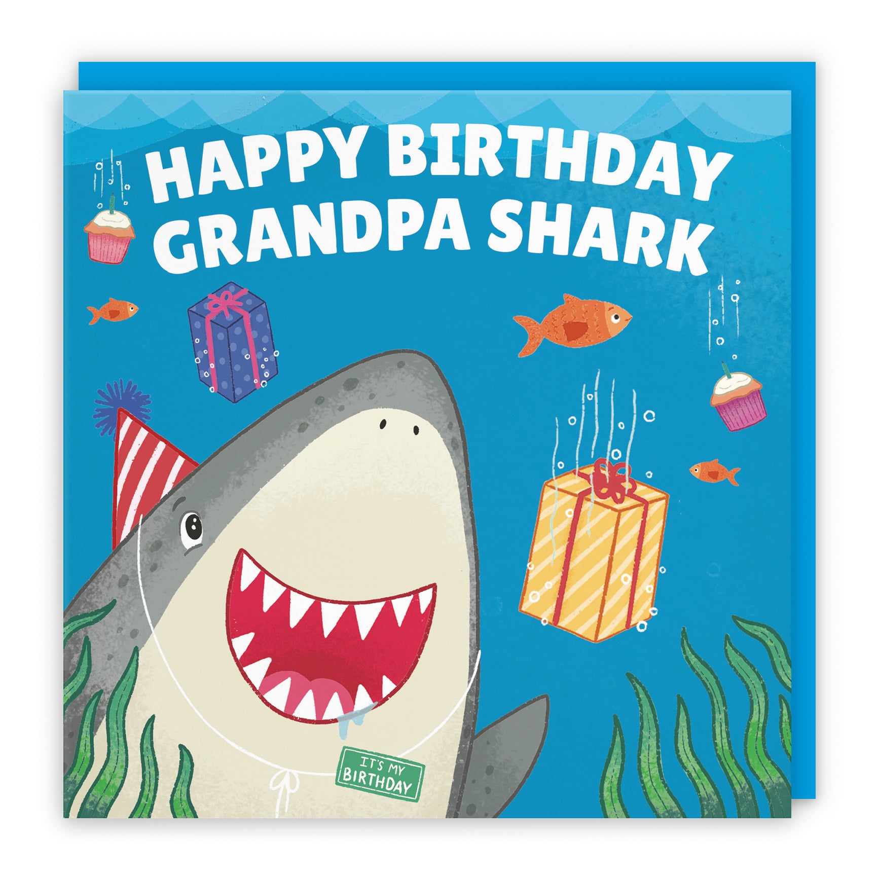 Cute Shark Birthday Card Ocean
