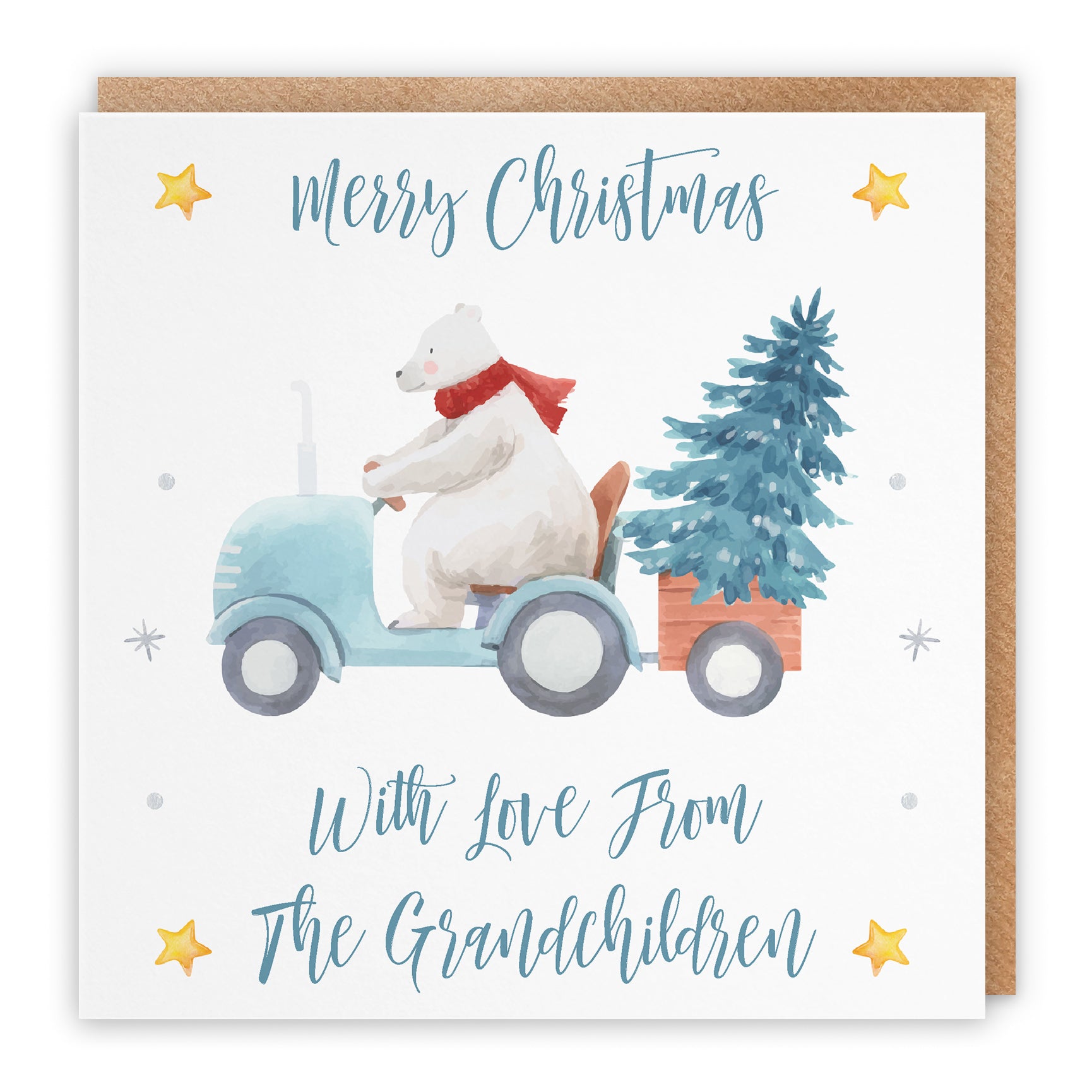 Christmas Card Polar Bear