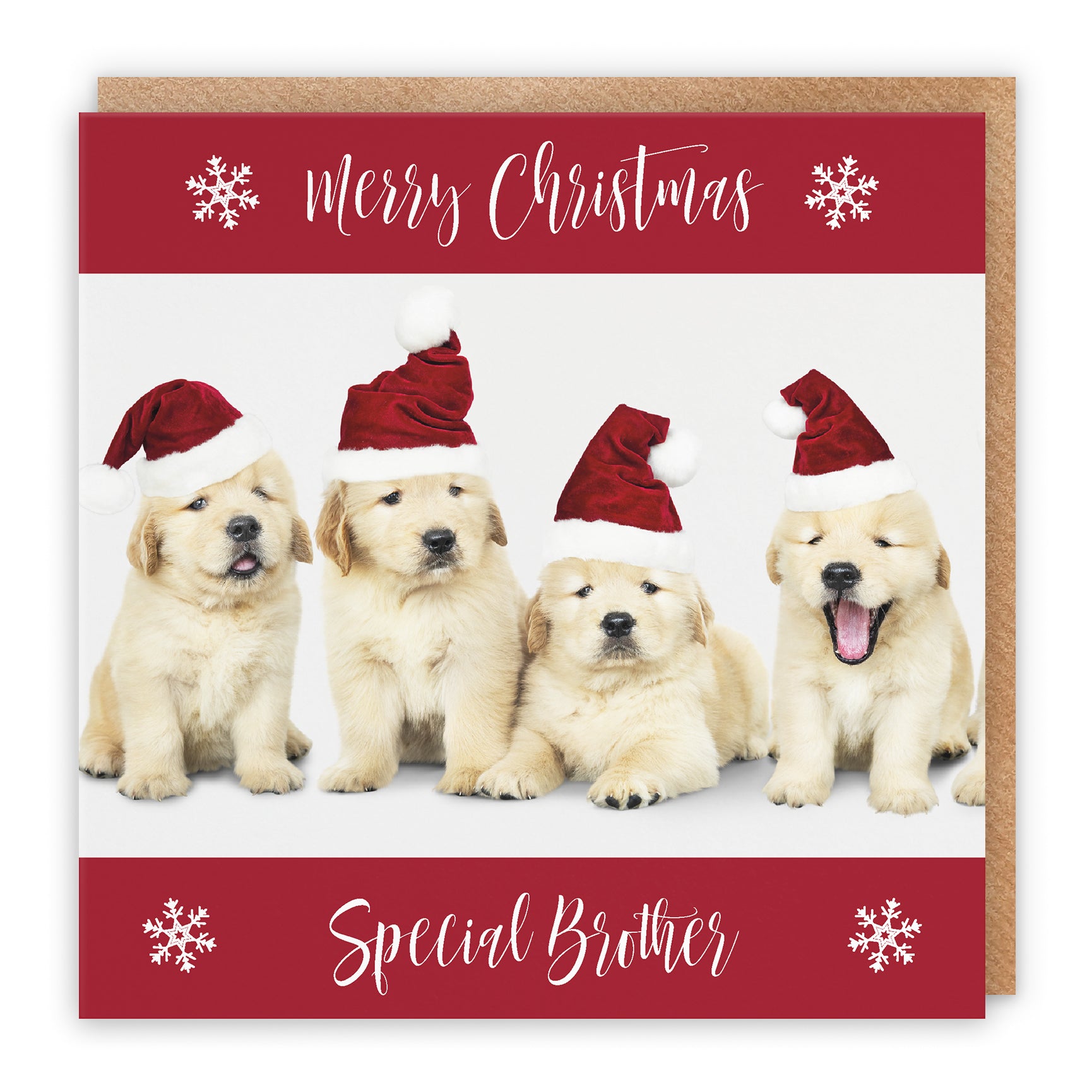 Christmas Card Puppy