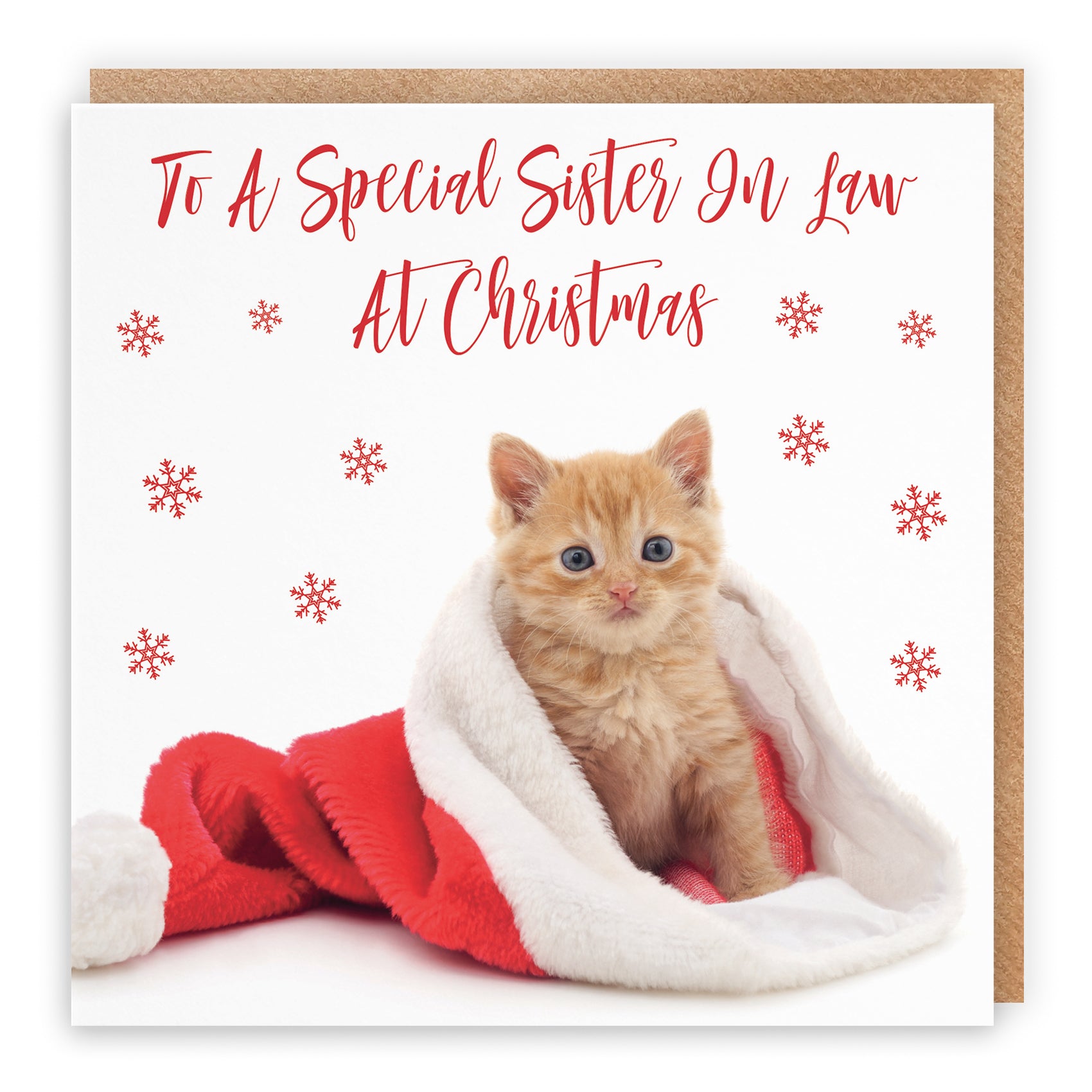 Christmas Card Kitten