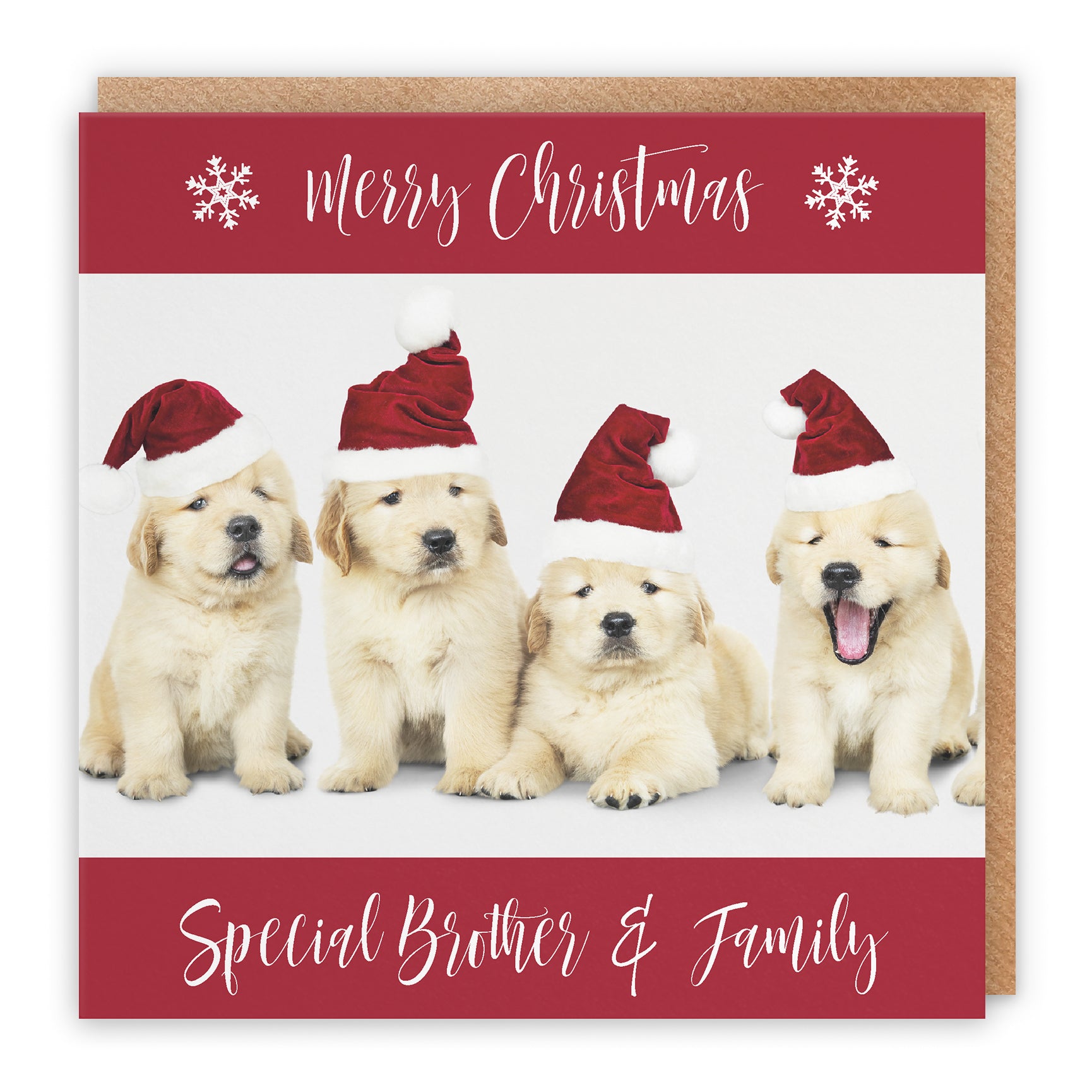 Christmas Card Puppy