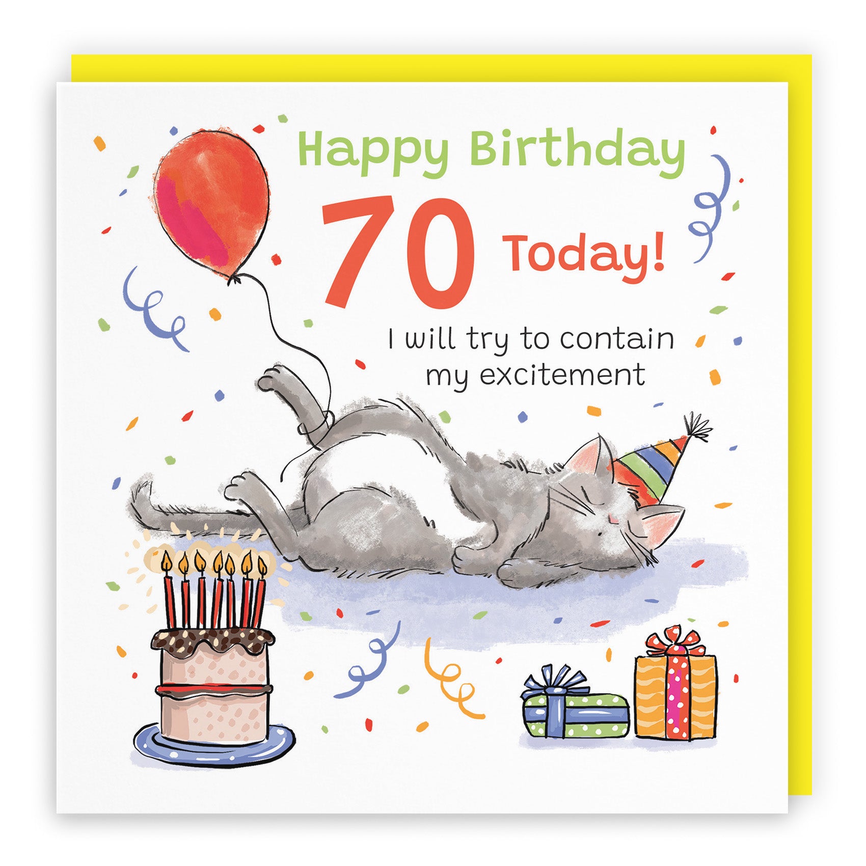 Sleepy Cat Birthday Card Animal Party