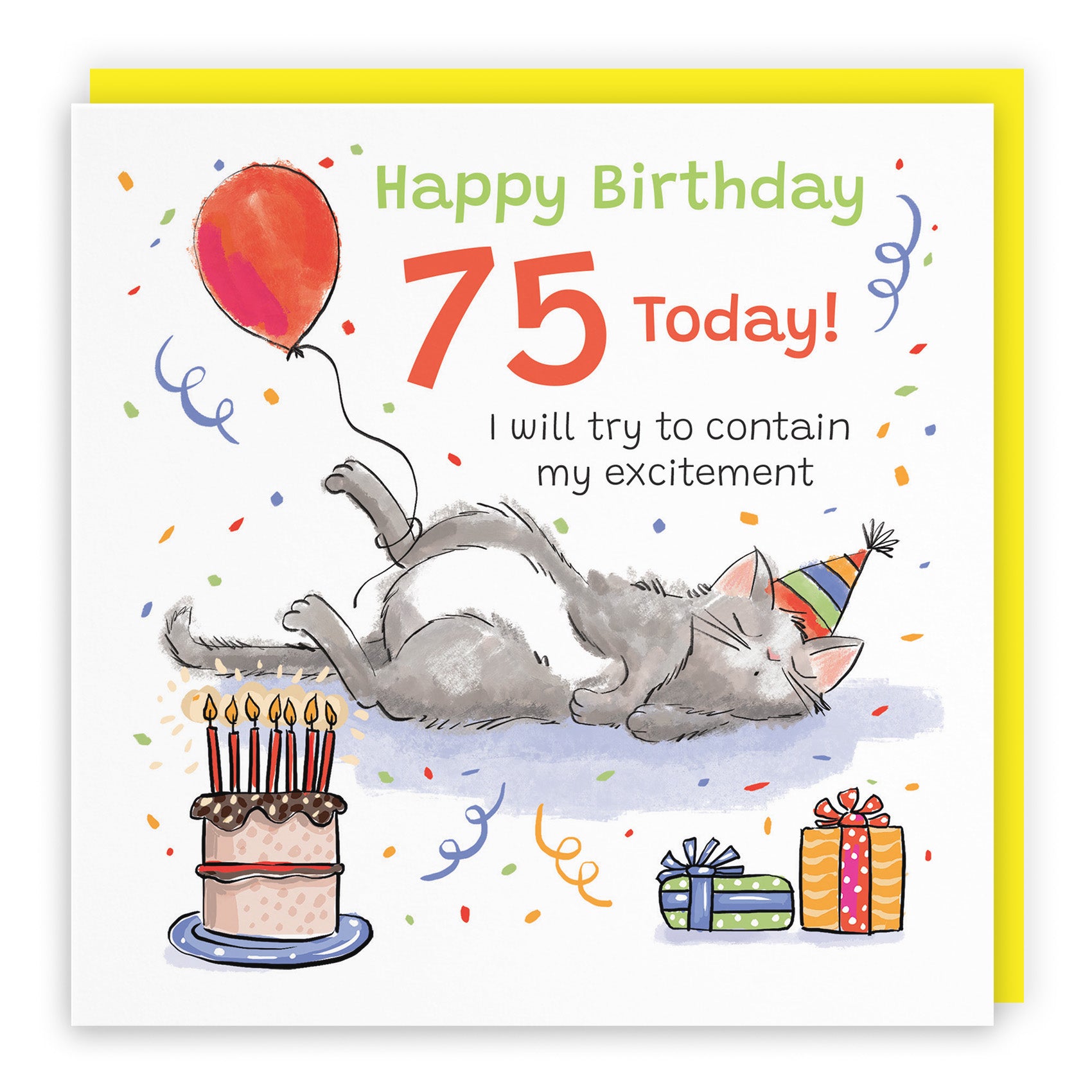 Sleepy Cat Birthday Card Animal Party