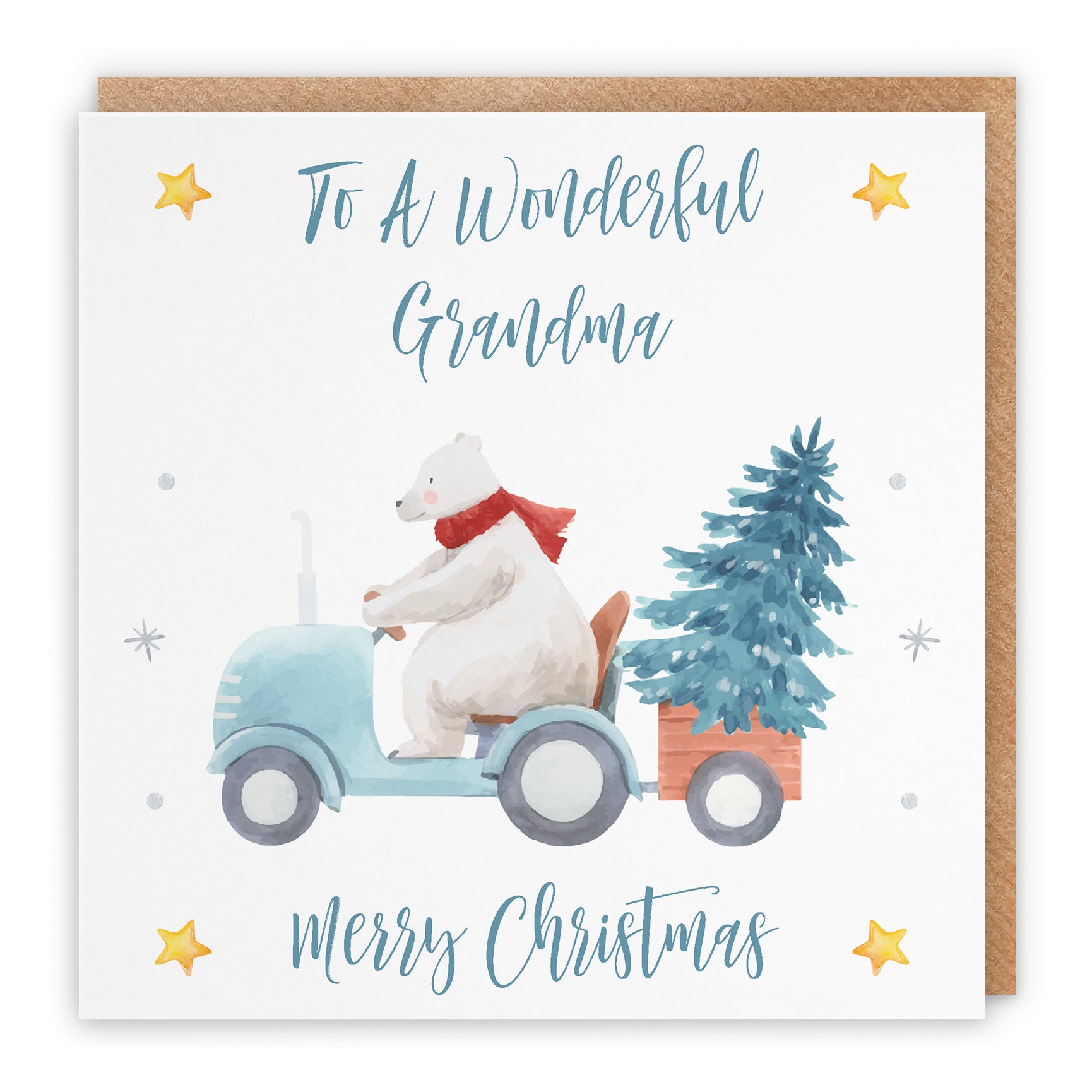 Christmas Card Polar Bear