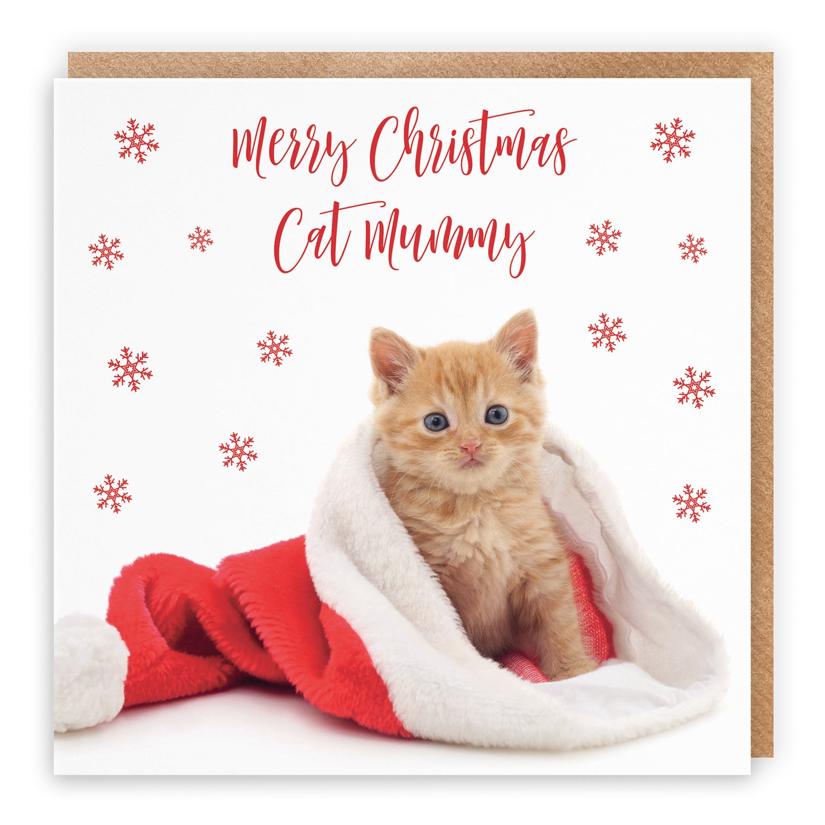 Christmas Card Kitten
