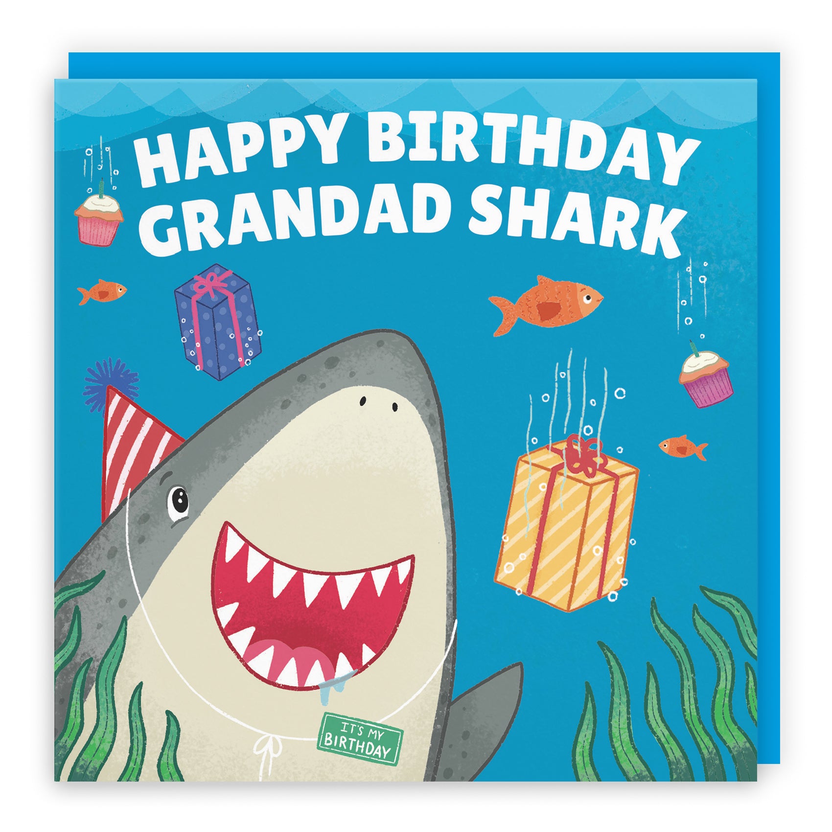Cute Shark Birthday Card Ocean