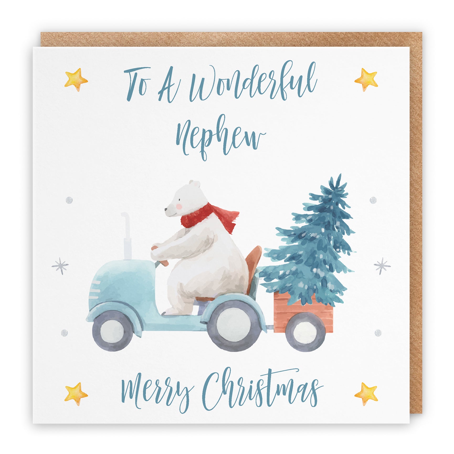 Christmas Card Polar Bear