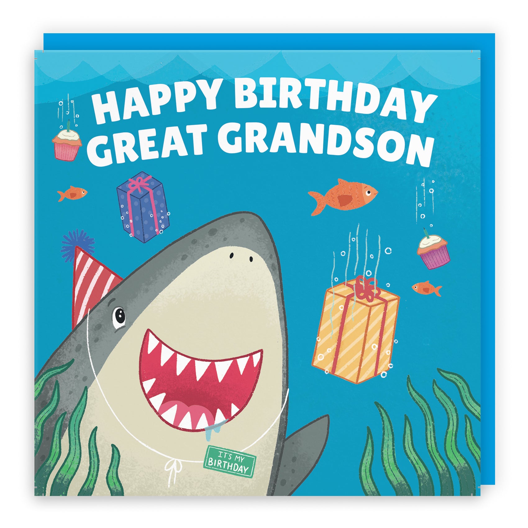 Cute Shark Birthday Card Ocean