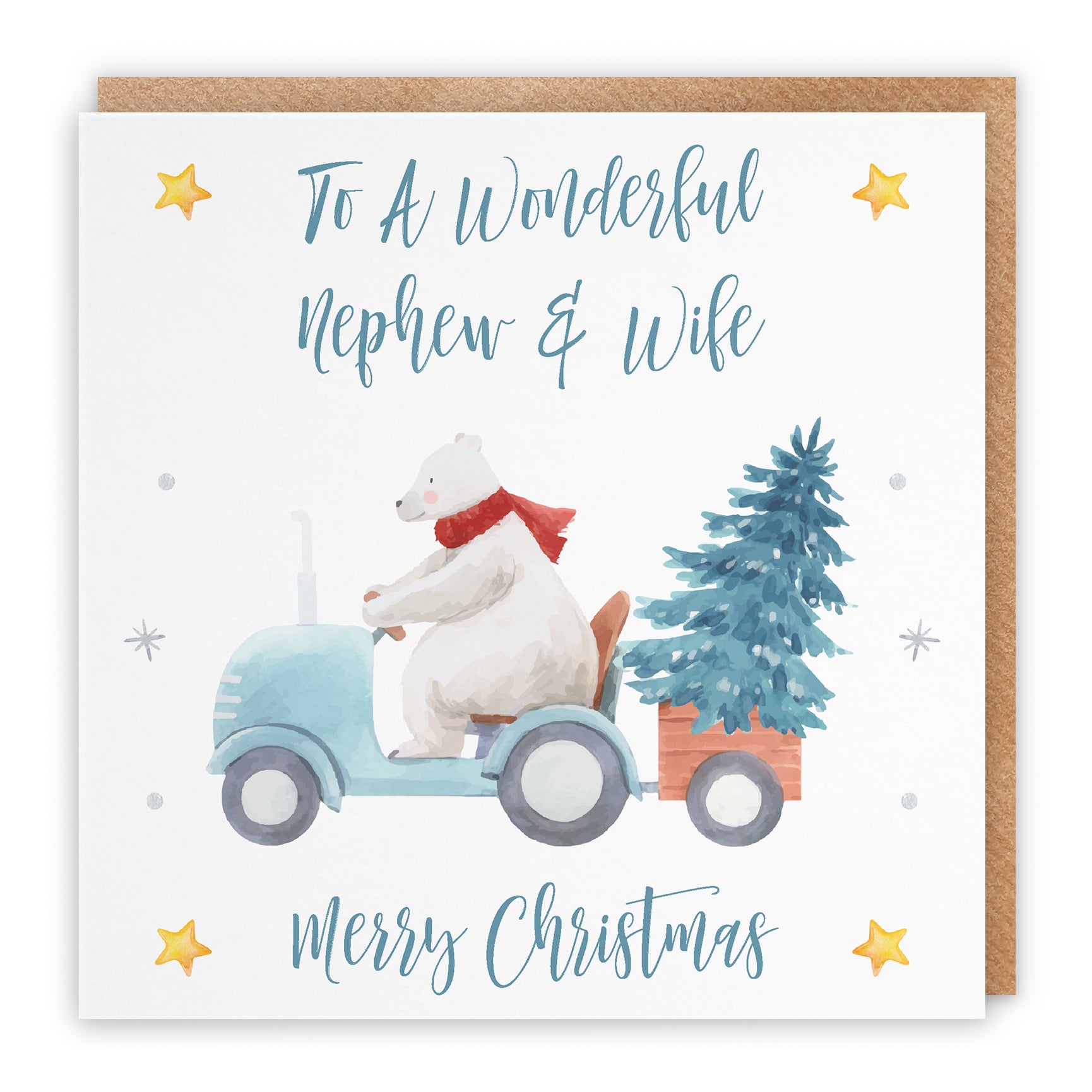 Christmas Card Polar Bear