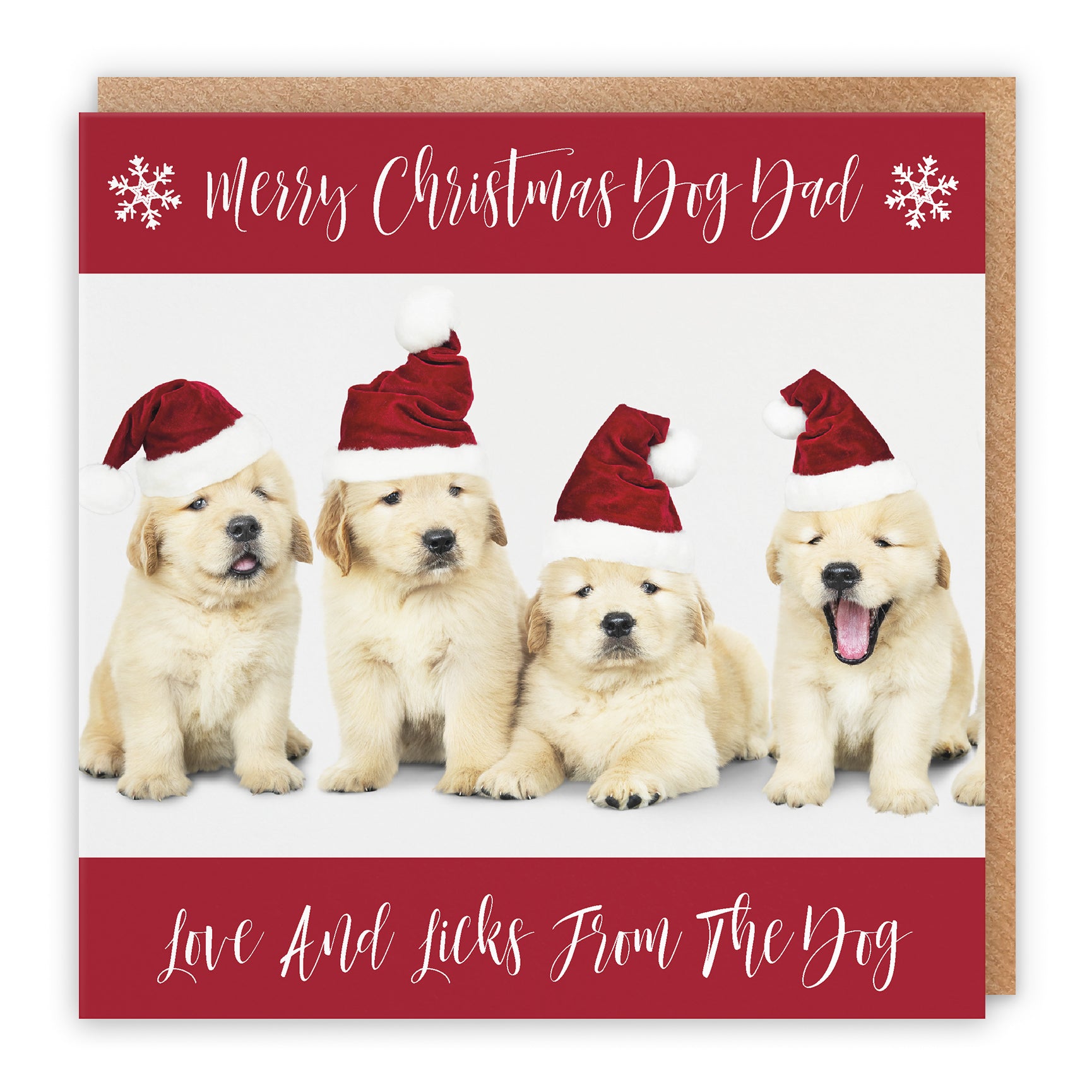 Christmas Card Puppy
