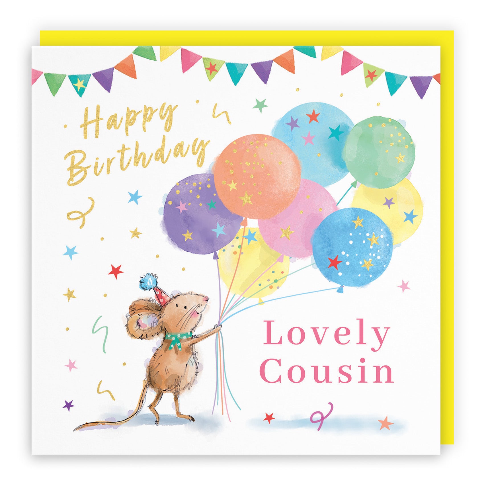 Colourful Balloons Birthday Card Little Whiskers