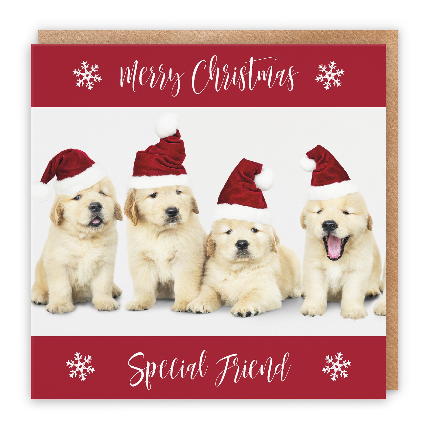 Christmas Card Puppy