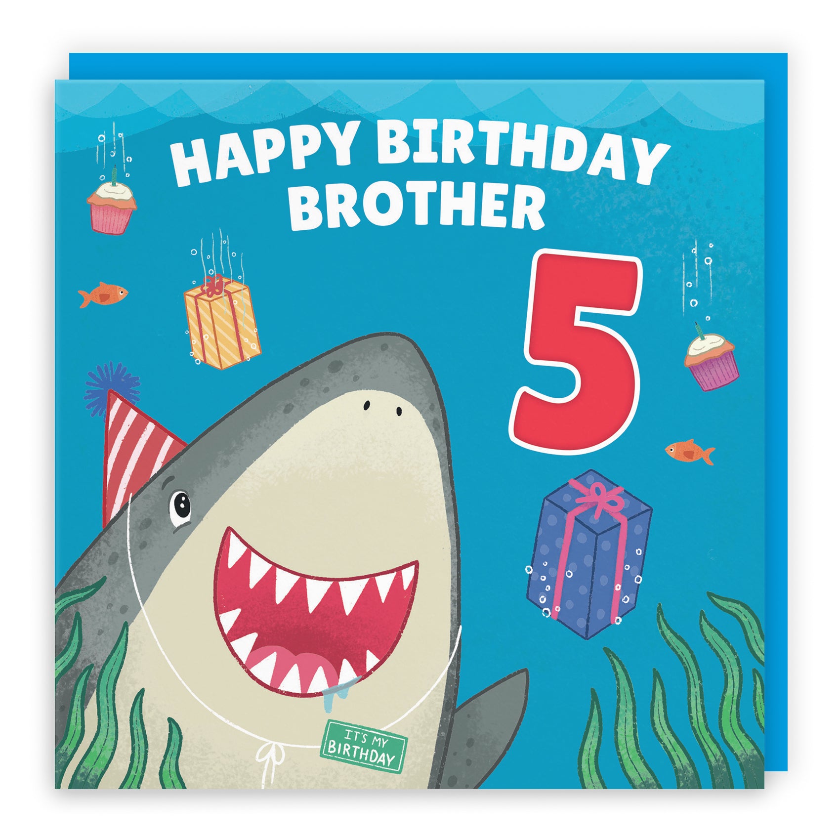 Cute Shark Birthday Card Ocean