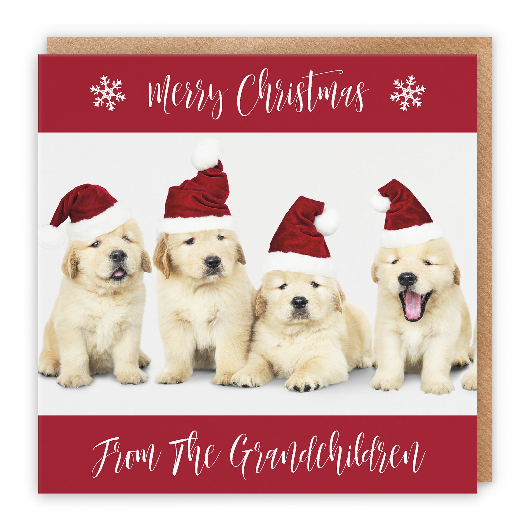 Christmas Card Puppy