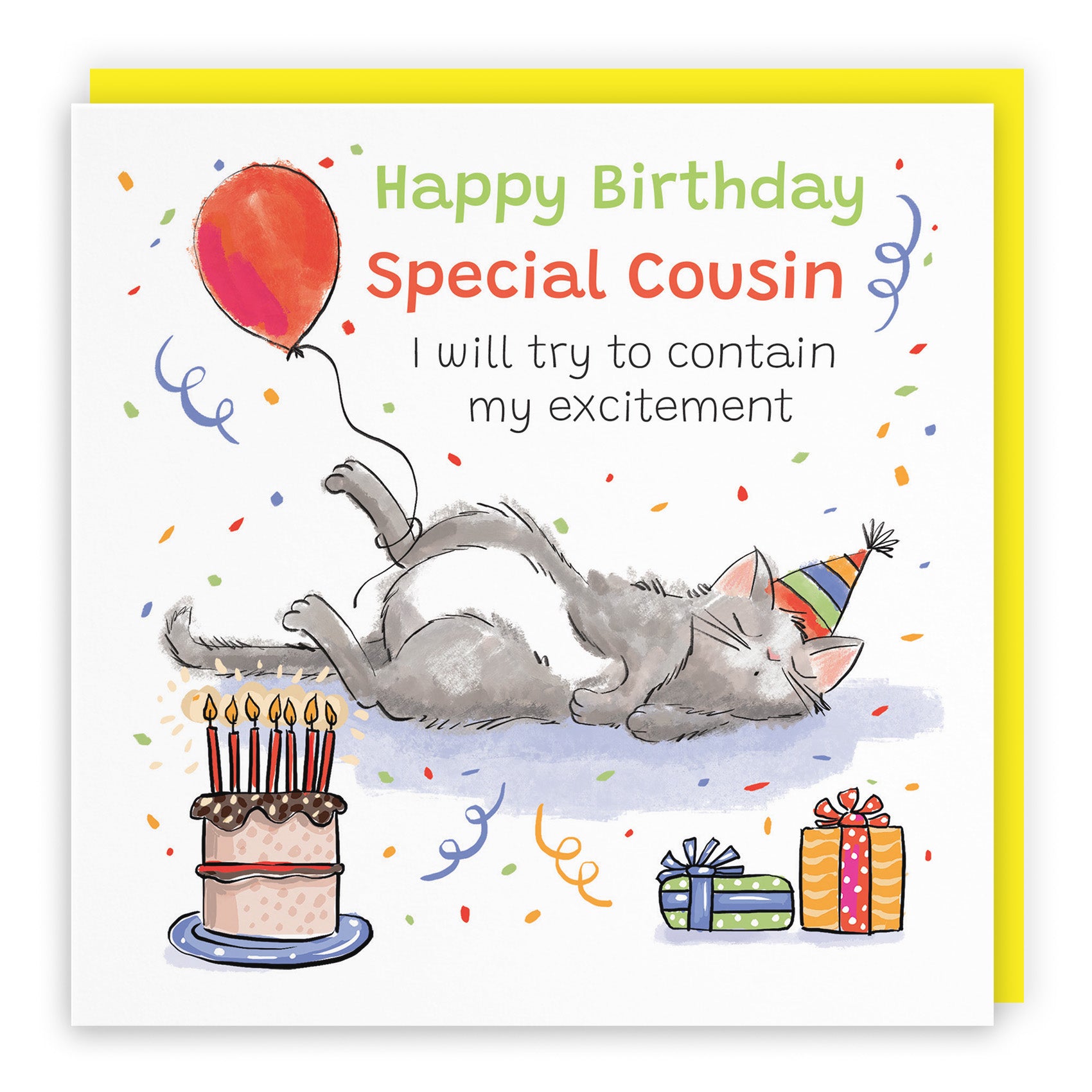 Sleepy Cat Birthday Card Animal Party