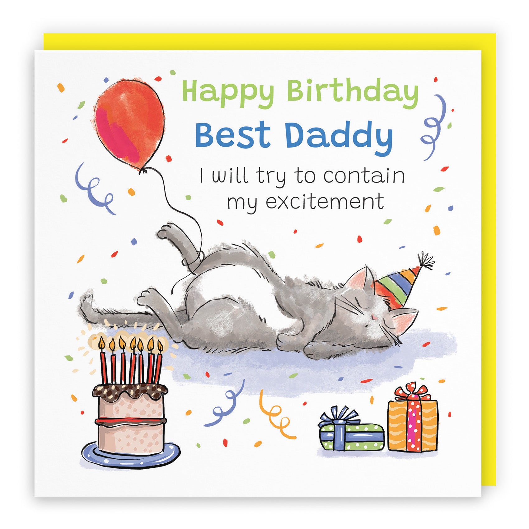 Sleepy Cat Birthday Card Animal Party