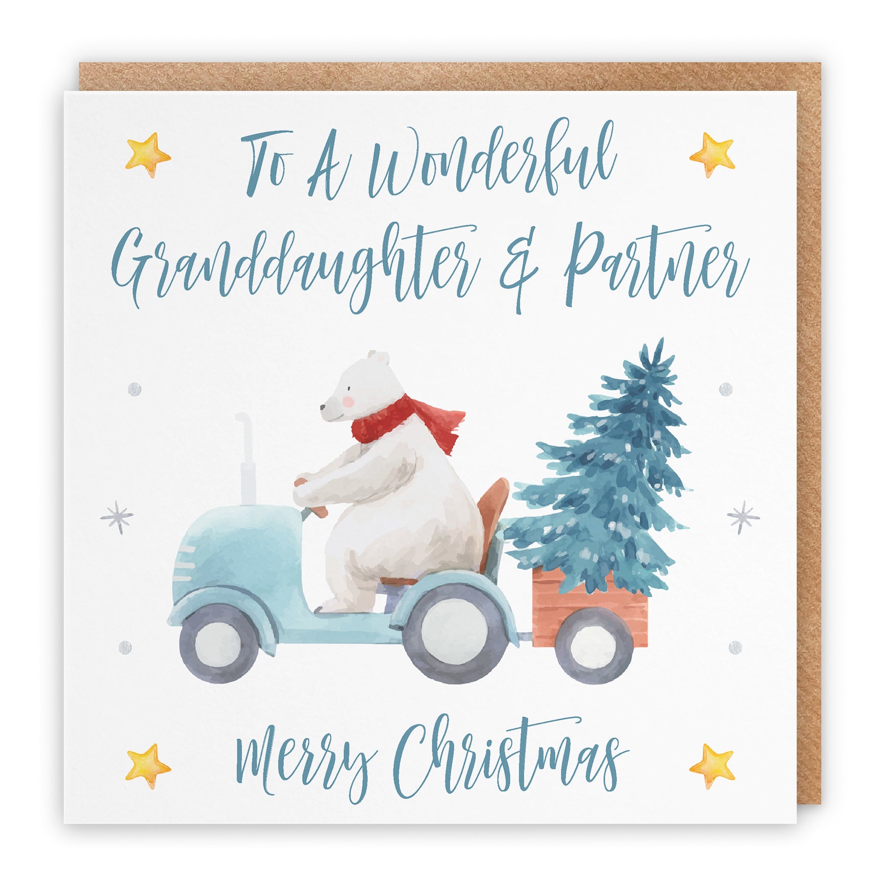 Christmas Card Polar Bear