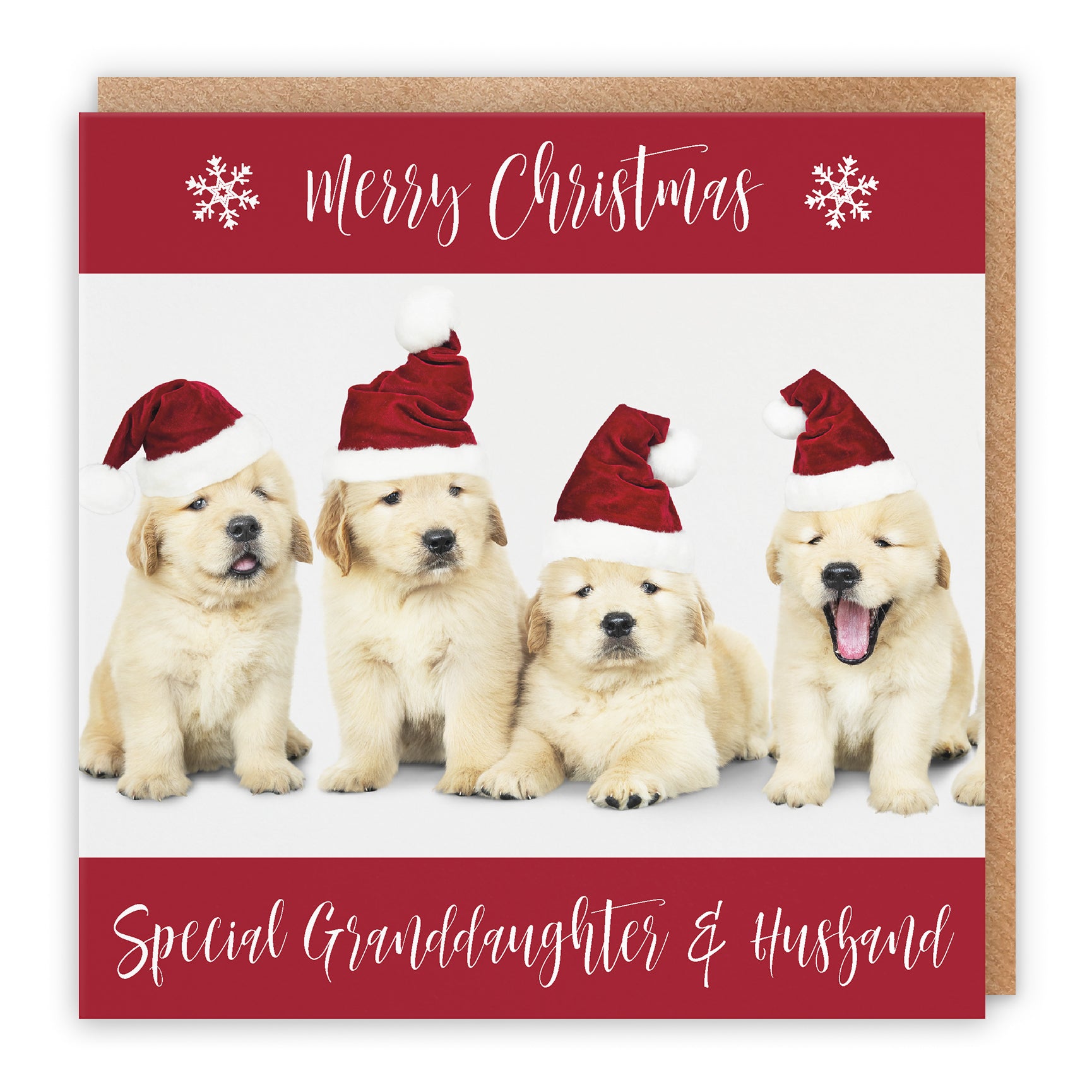 Christmas Card Puppy