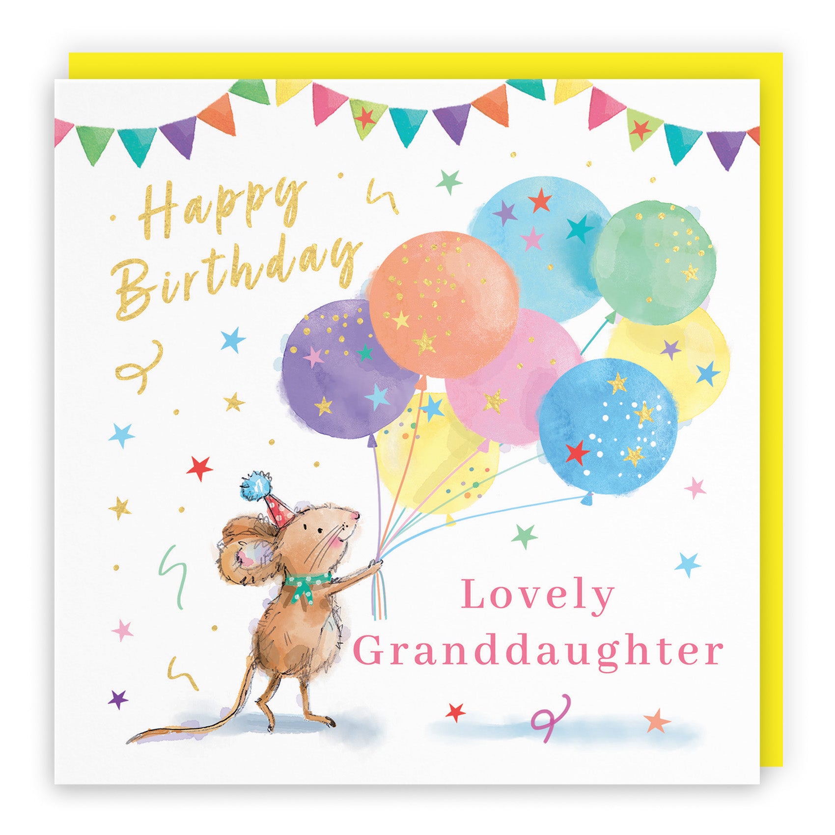 Colourful Balloons Birthday Card Little Whiskers