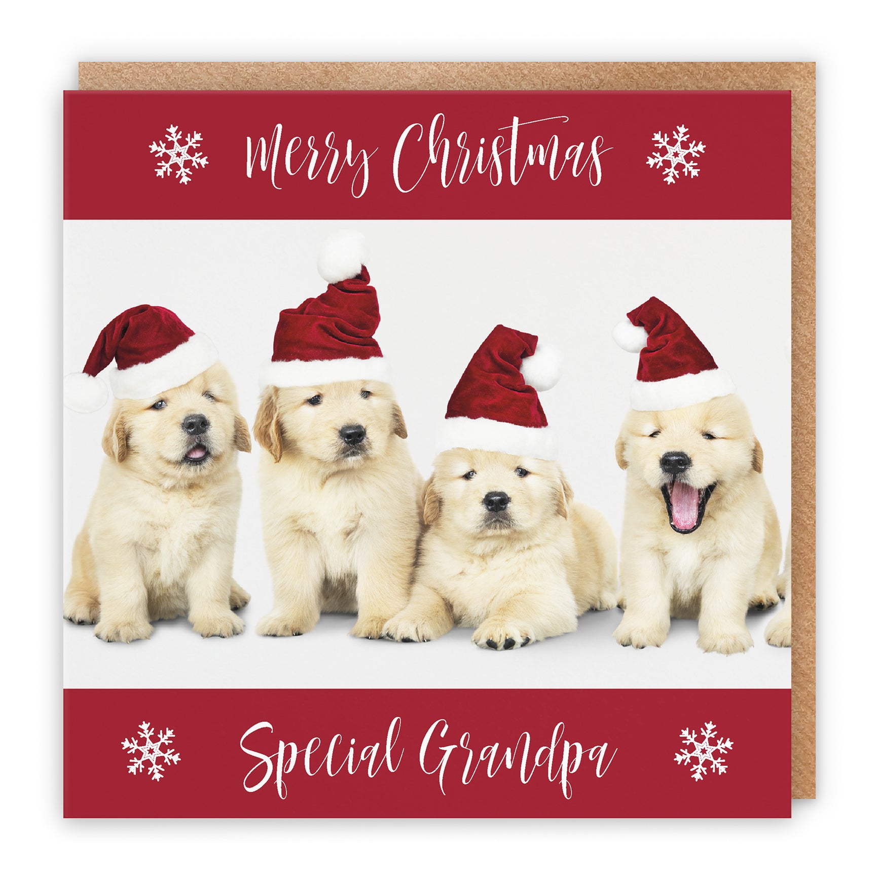 Christmas Card Puppy