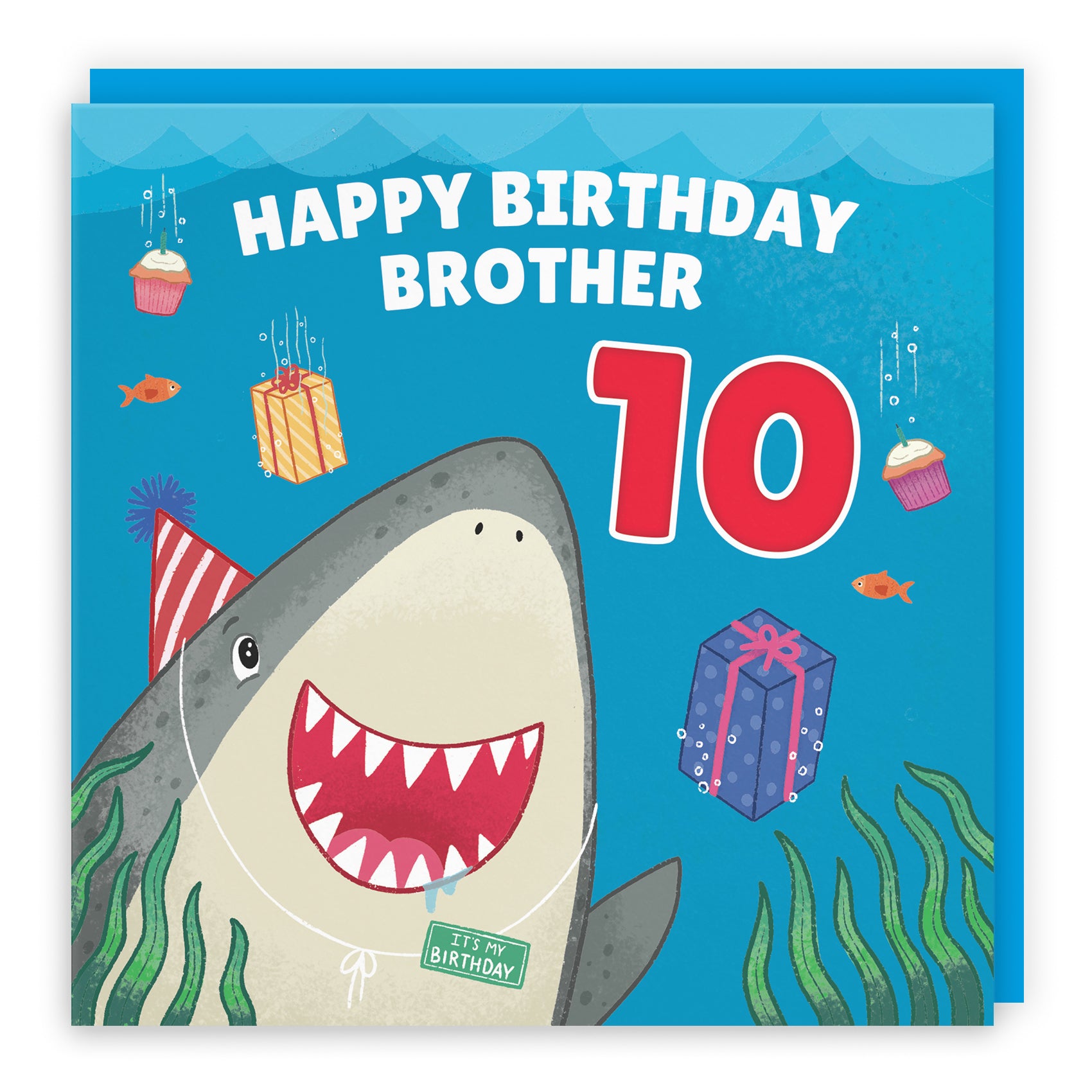 Cute Shark Birthday Card Ocean