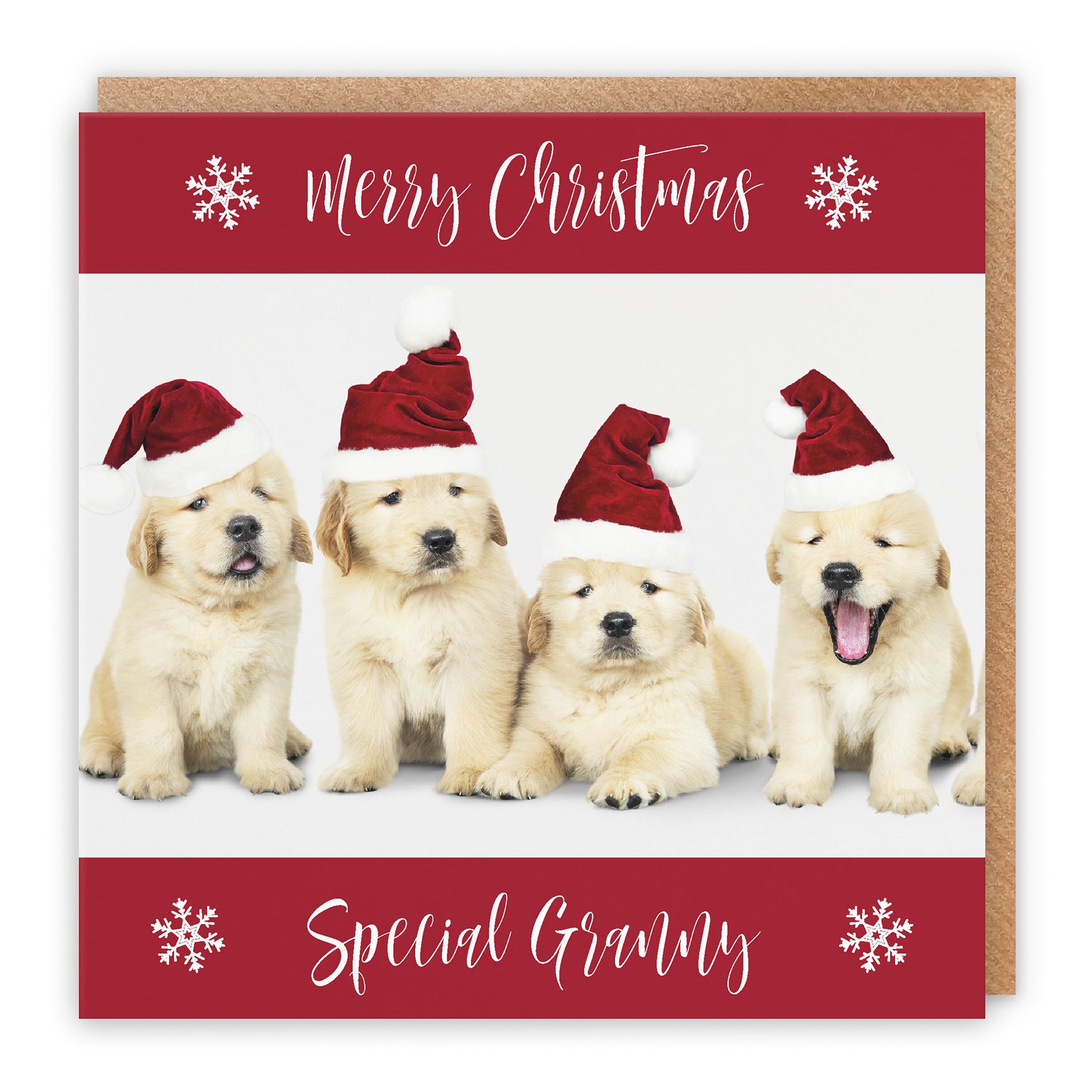 Christmas Card Puppy